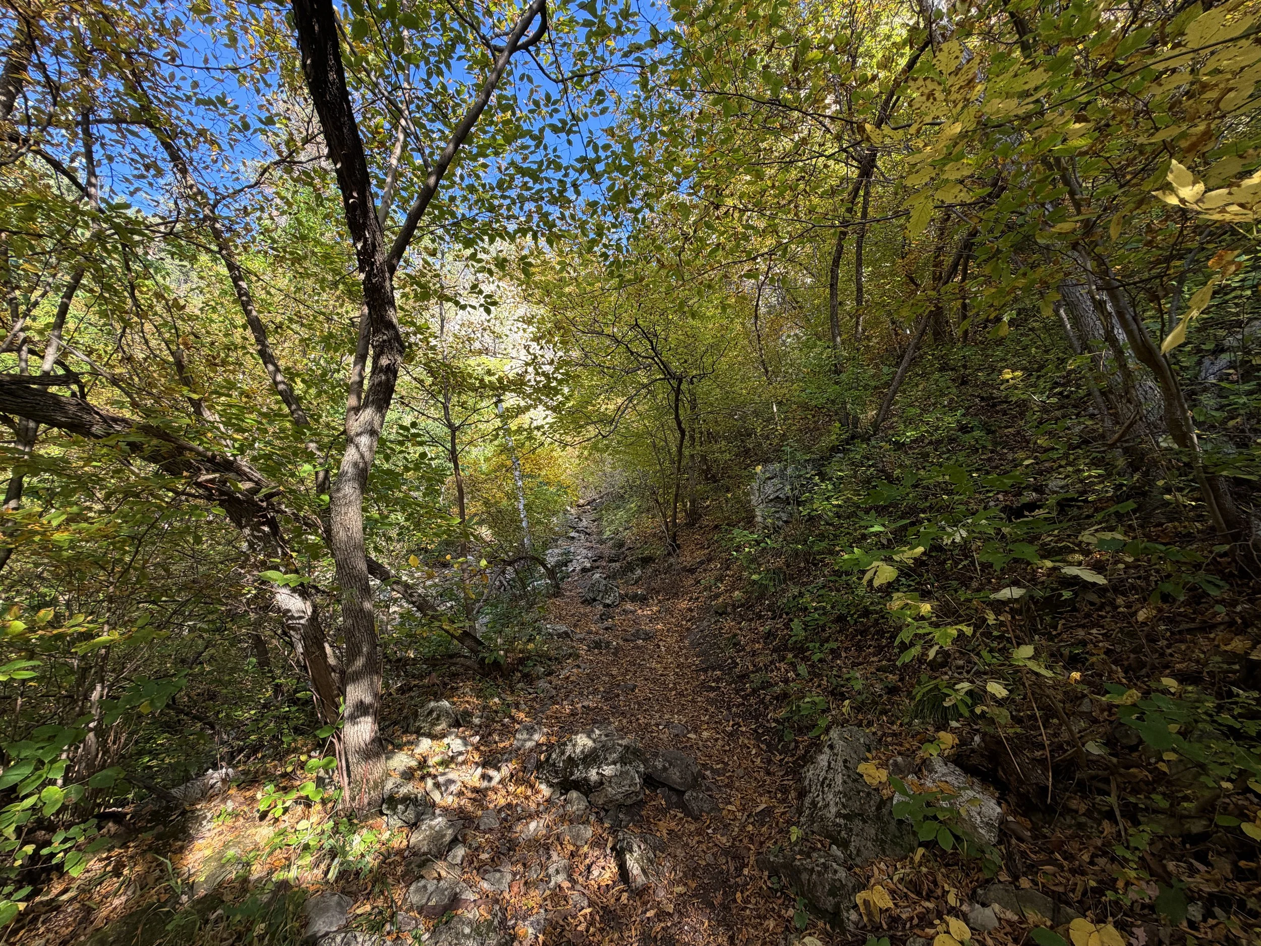 Community Caves Trail Spearfish Canyon Black Hills South Dakota