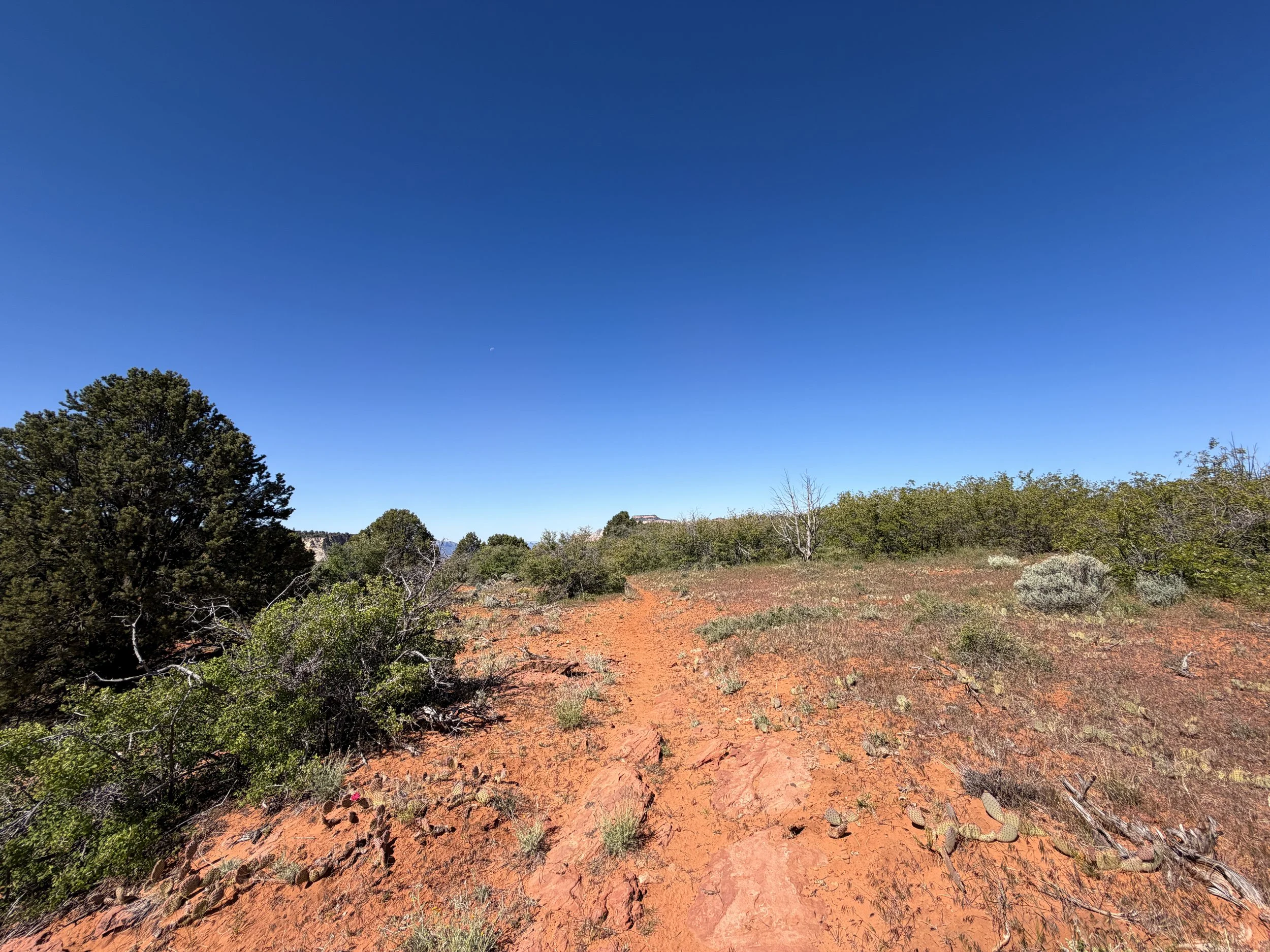 Deertrap Mountain Trail Zion National Park Utah