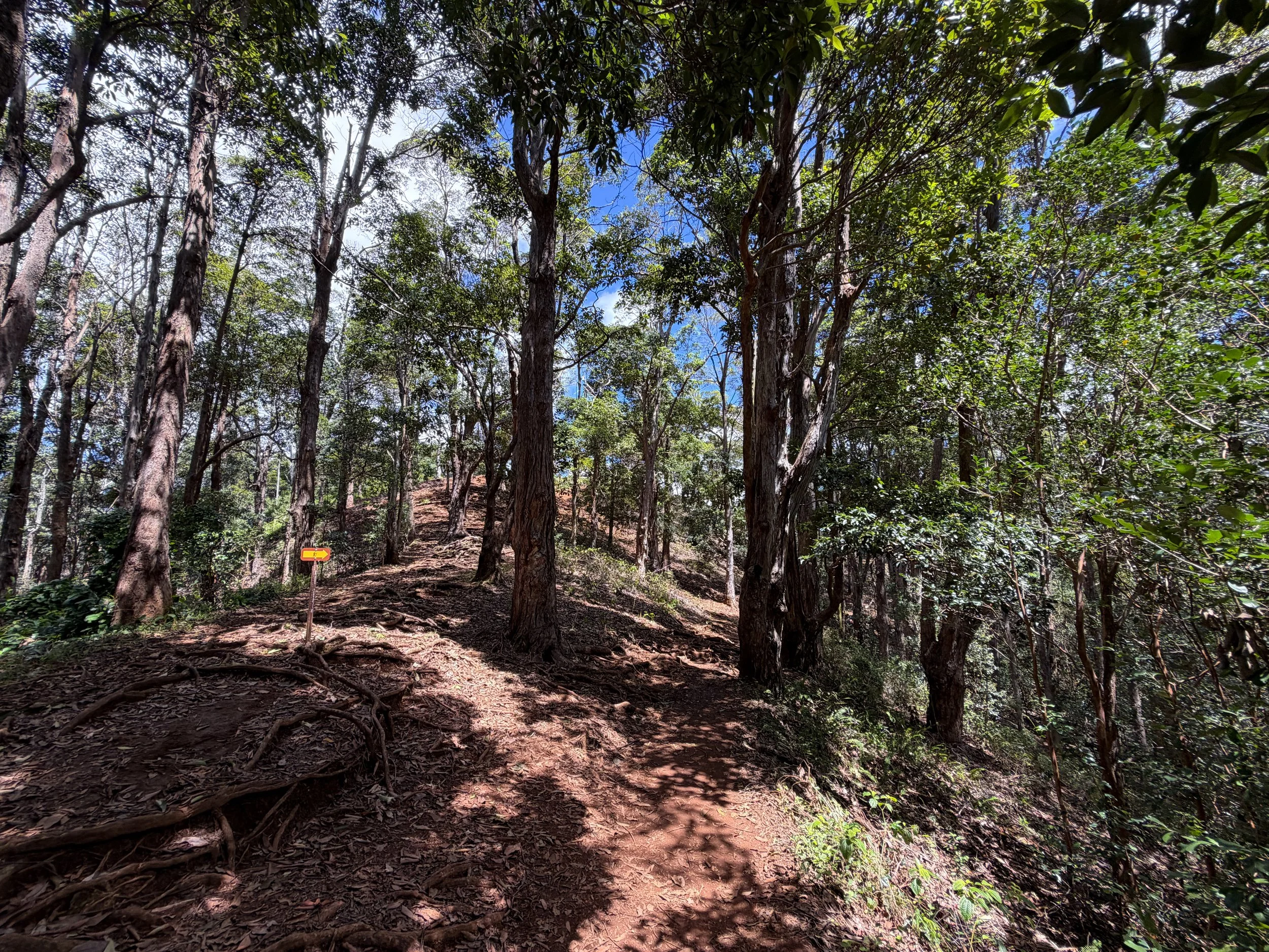 Waimano Pools Trail Oahu Hawaii