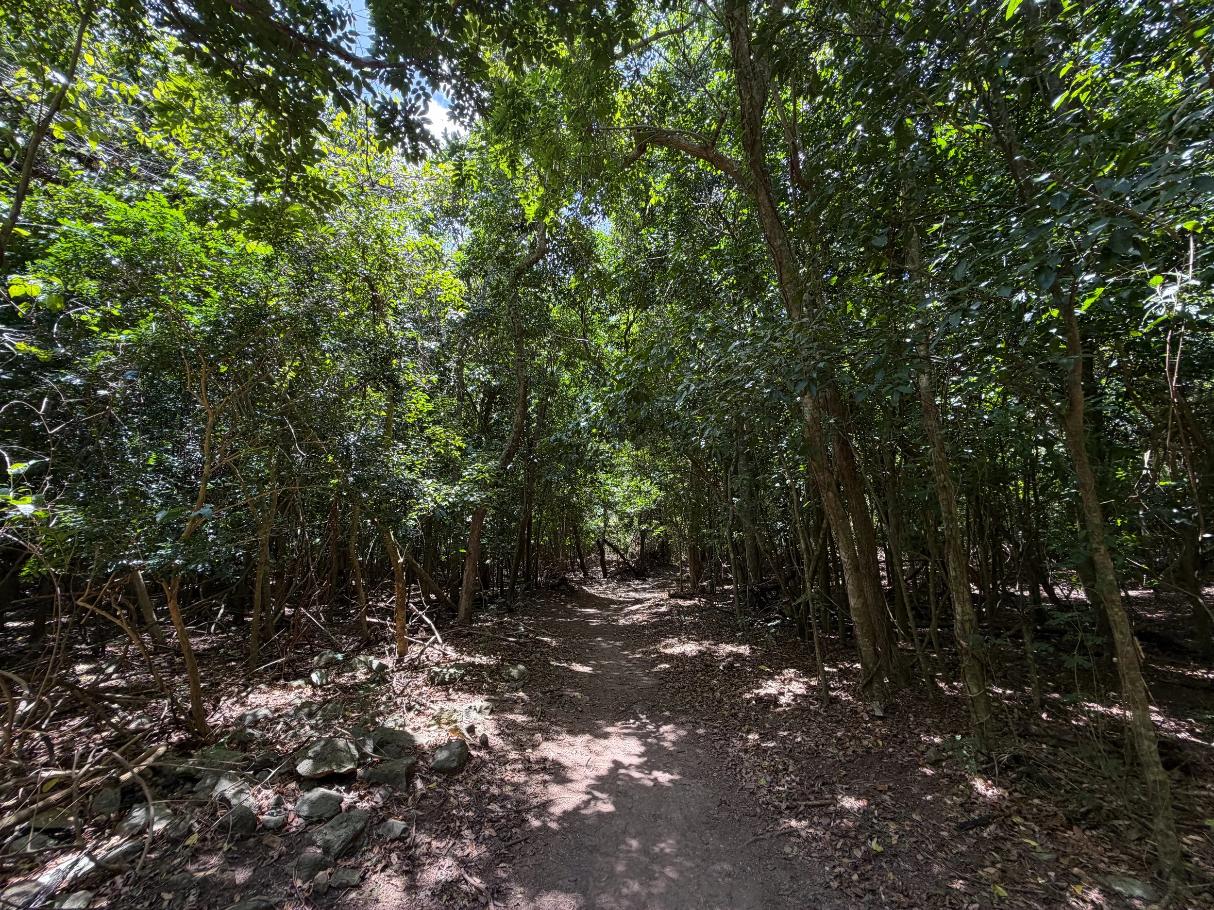 Reef Bay Trail Virgin Islands National Park