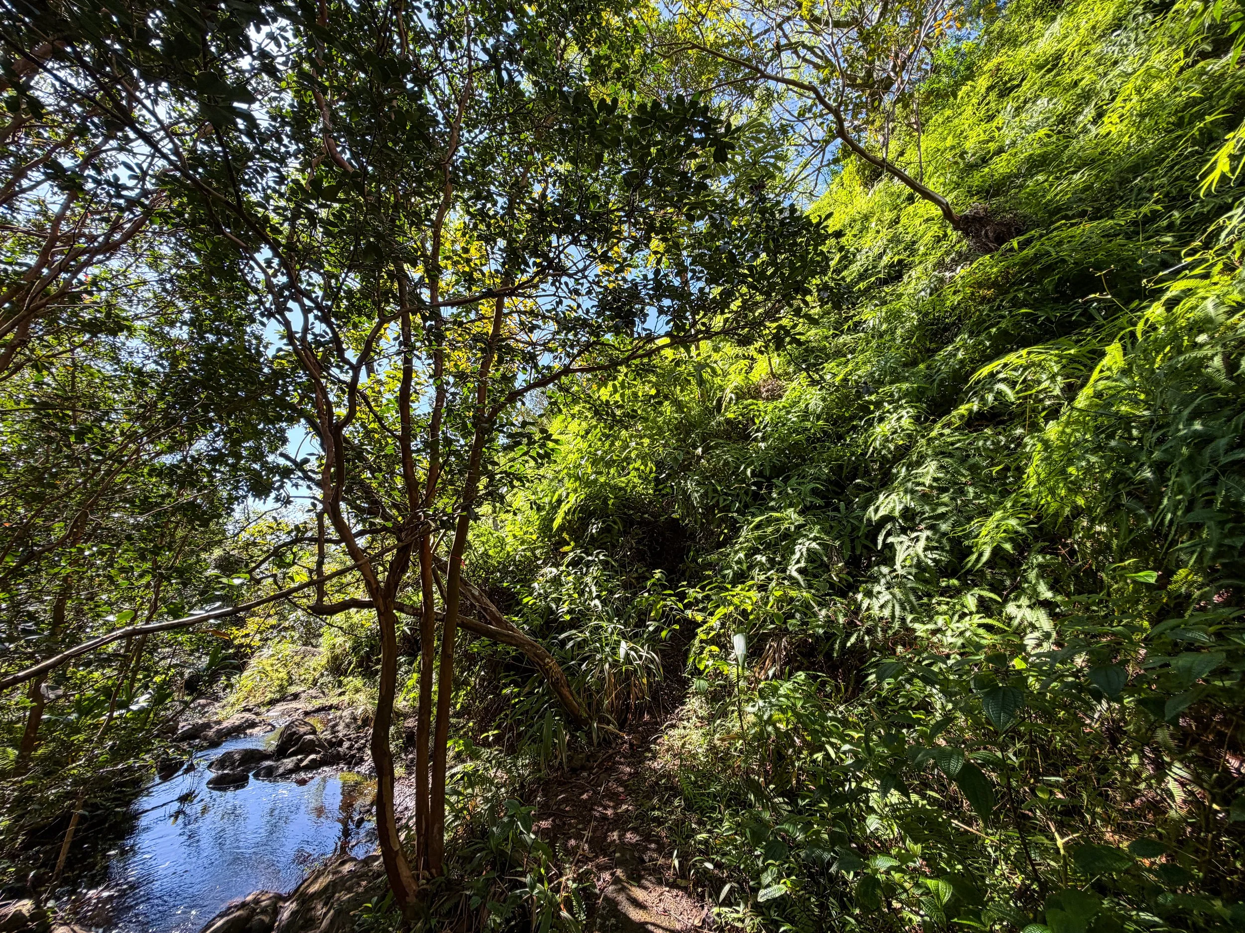 Third Waterfall Climb Kaau Crater Trail Oahu Hawaii