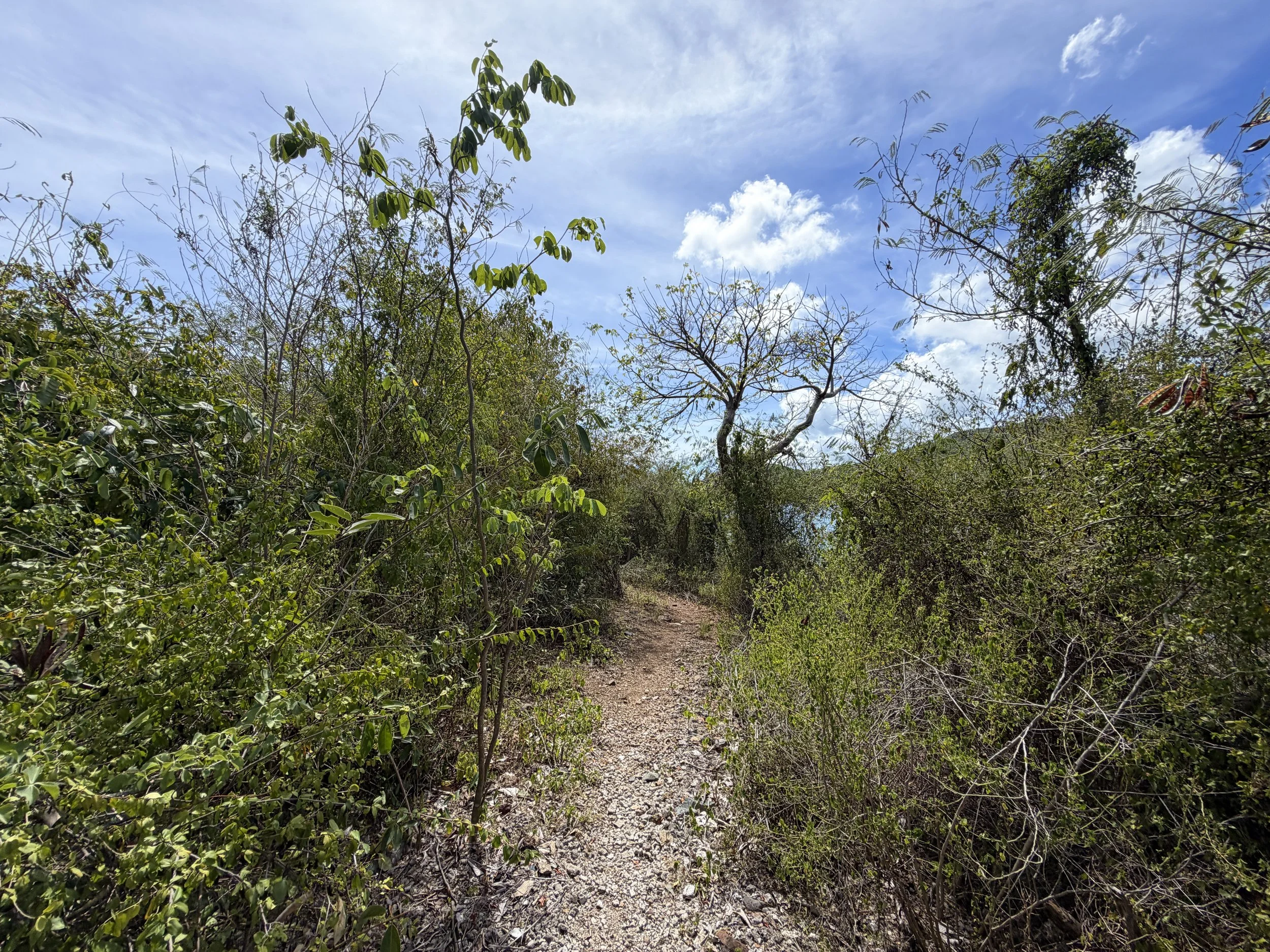Yawzi Point Trail Virgin Islands National Park