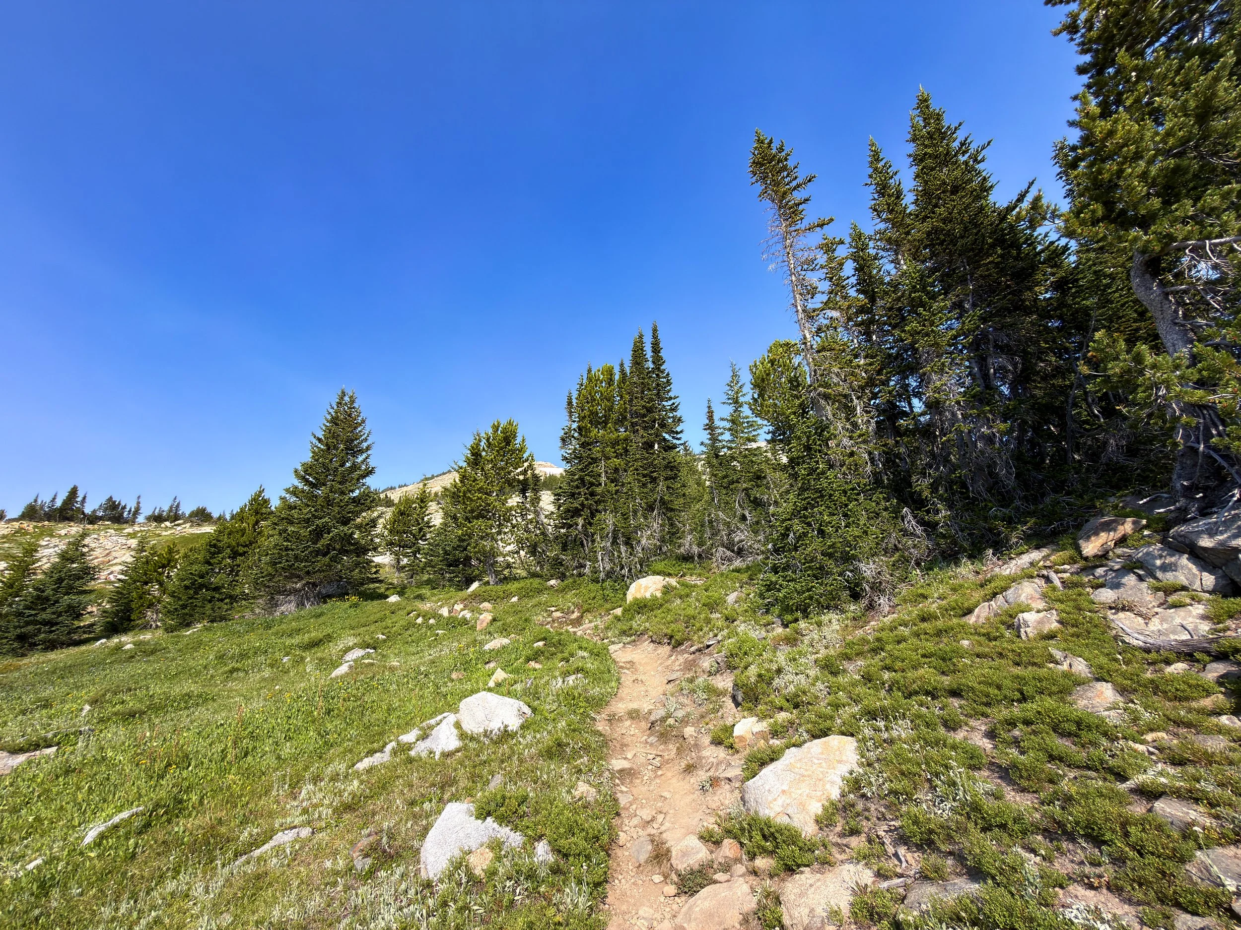 The Beaten Path Hike Beartooth Mountains Montana