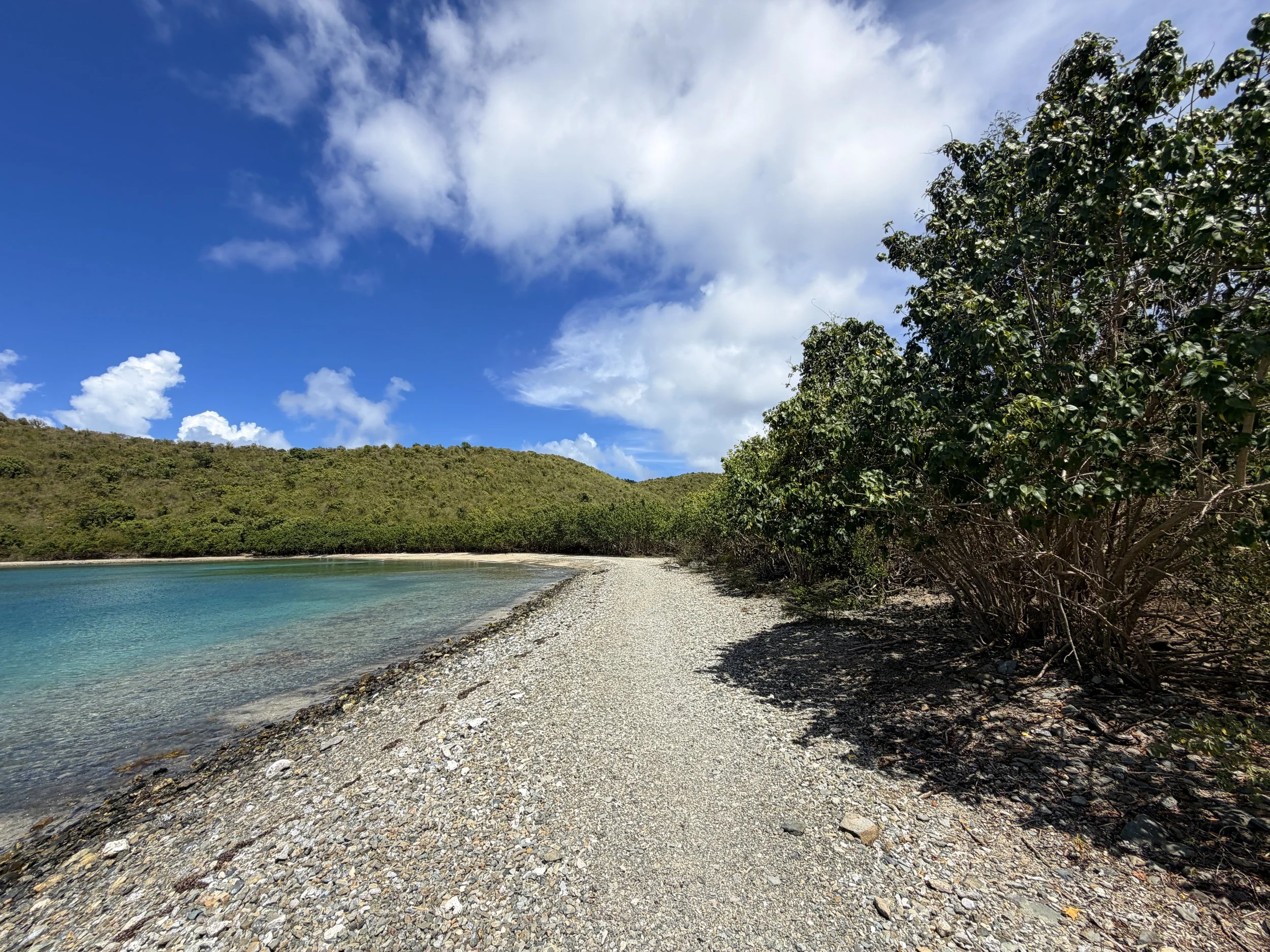 Leinster Bay Hike to Waterlemon Cay Virgin Islands National Park
