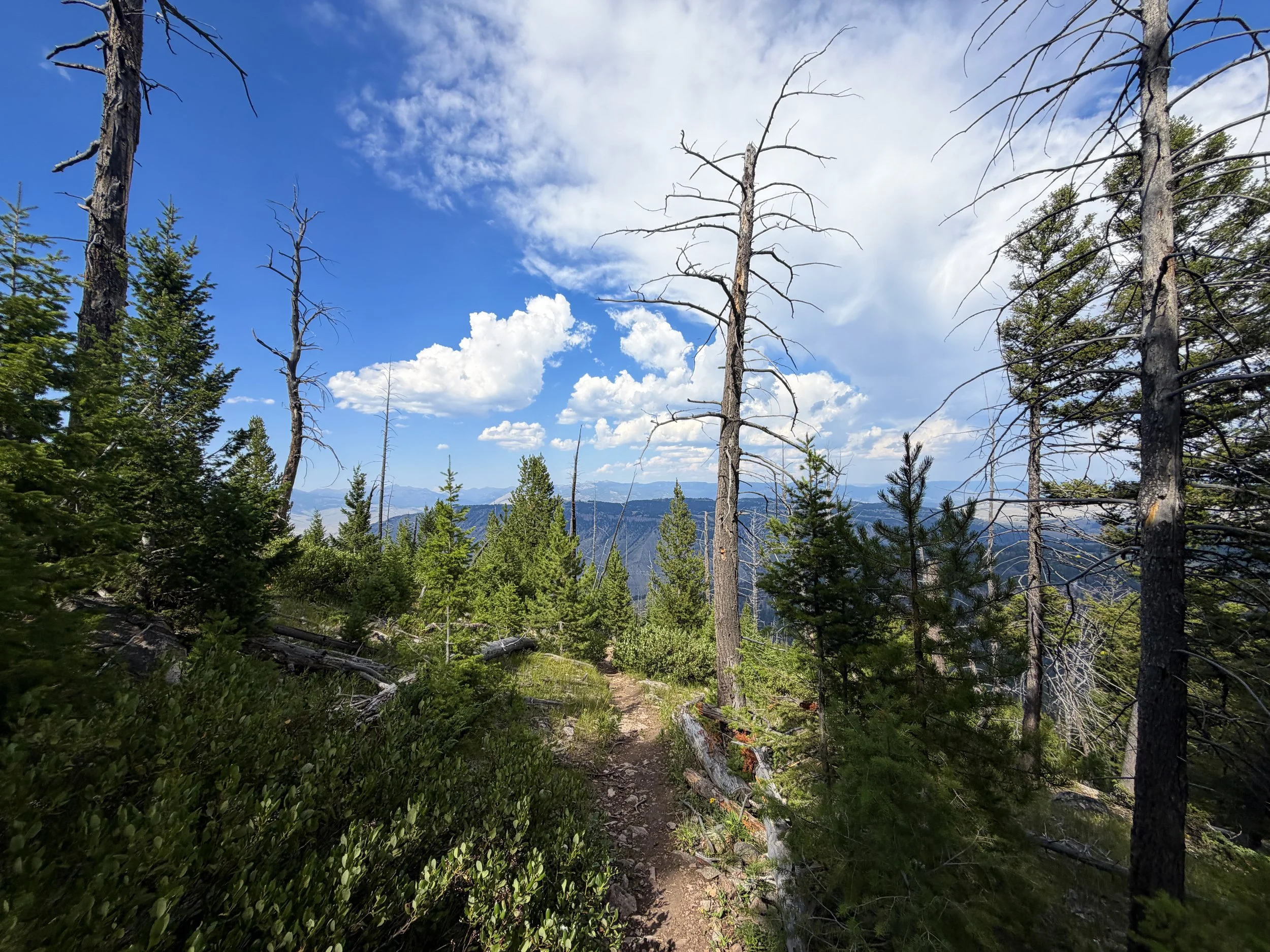 Bunsen Peak Hike Yellowstone National Park Wyoming