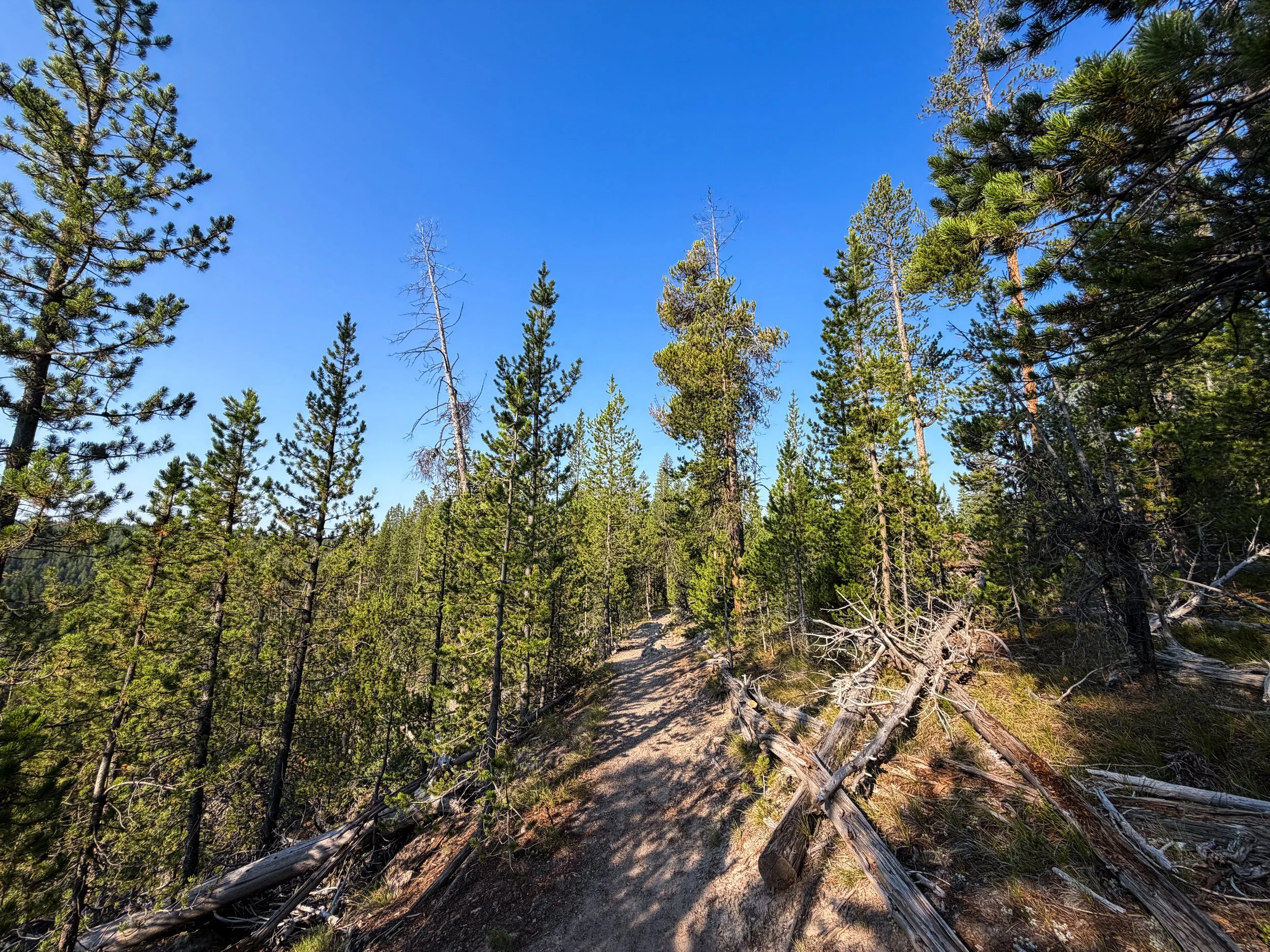 Natural Bridge Trail Yellowstone National Park Wyoming