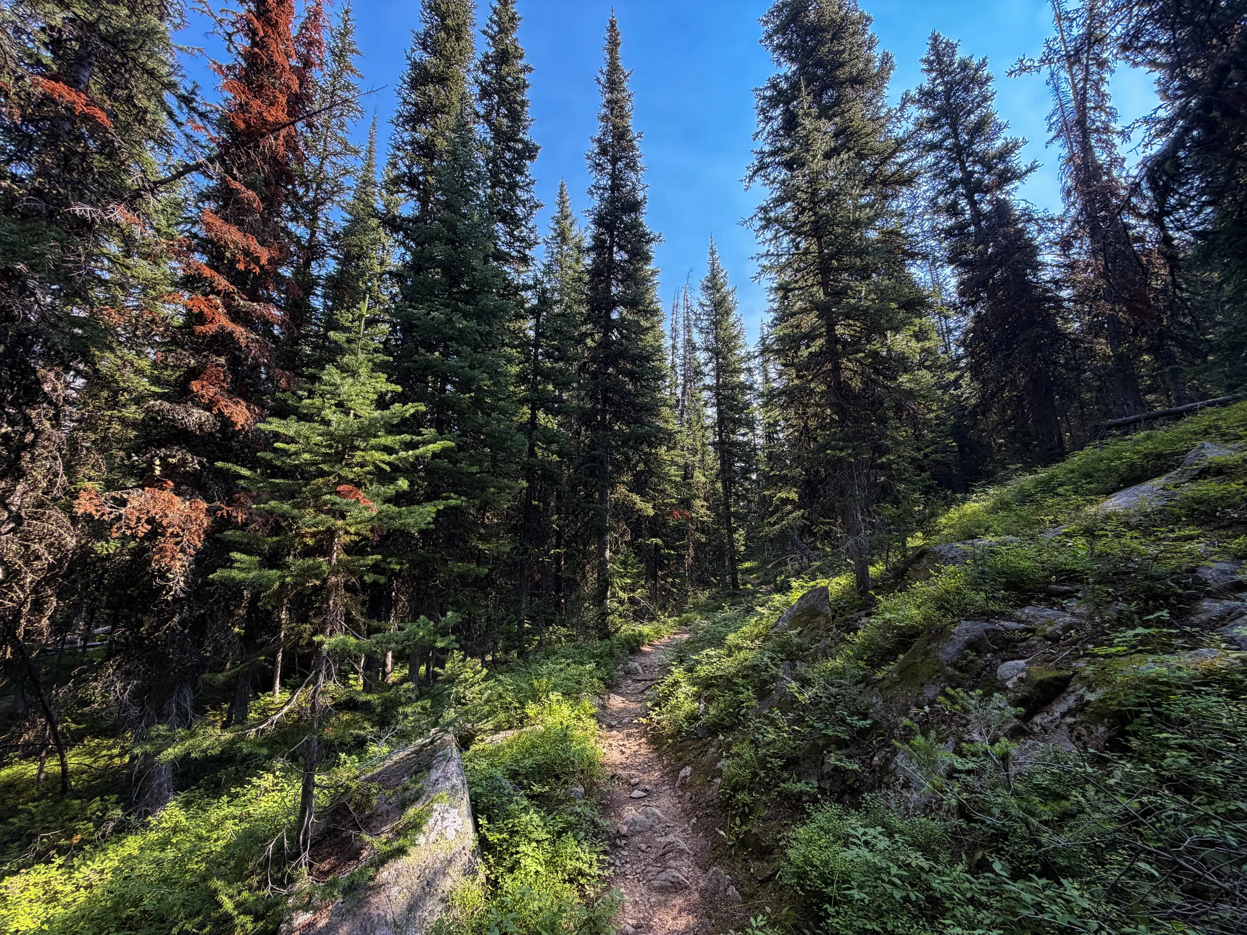 East Rosebud Trail The Beaten Path Beartooth Mountains Montana