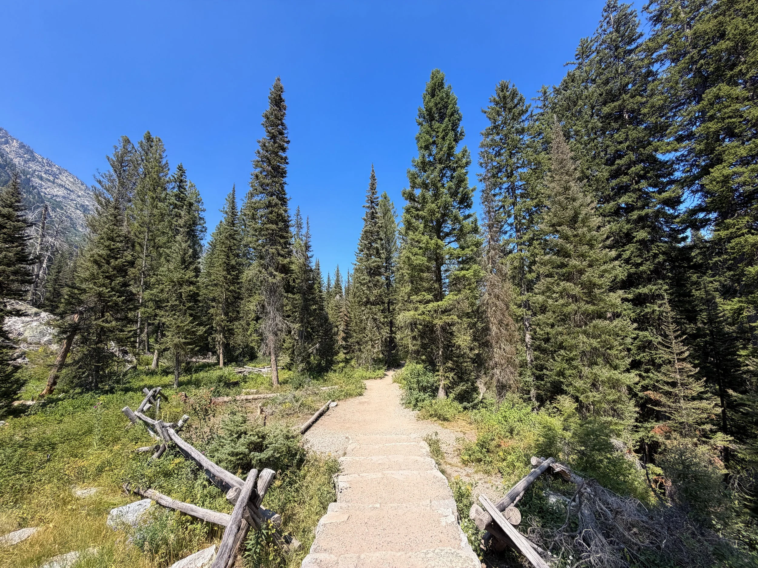 Jenny Lake Loop Trail Grand Teton National Park Wyoming