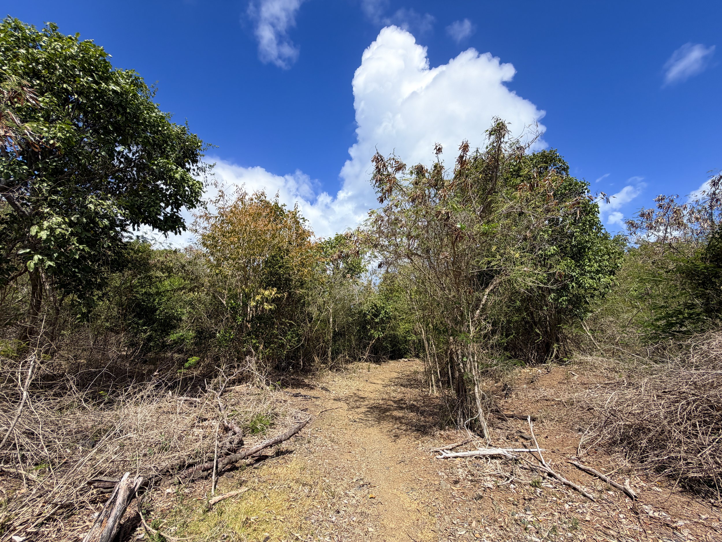 Johnny Horn Hike Virgin Islands National Park
