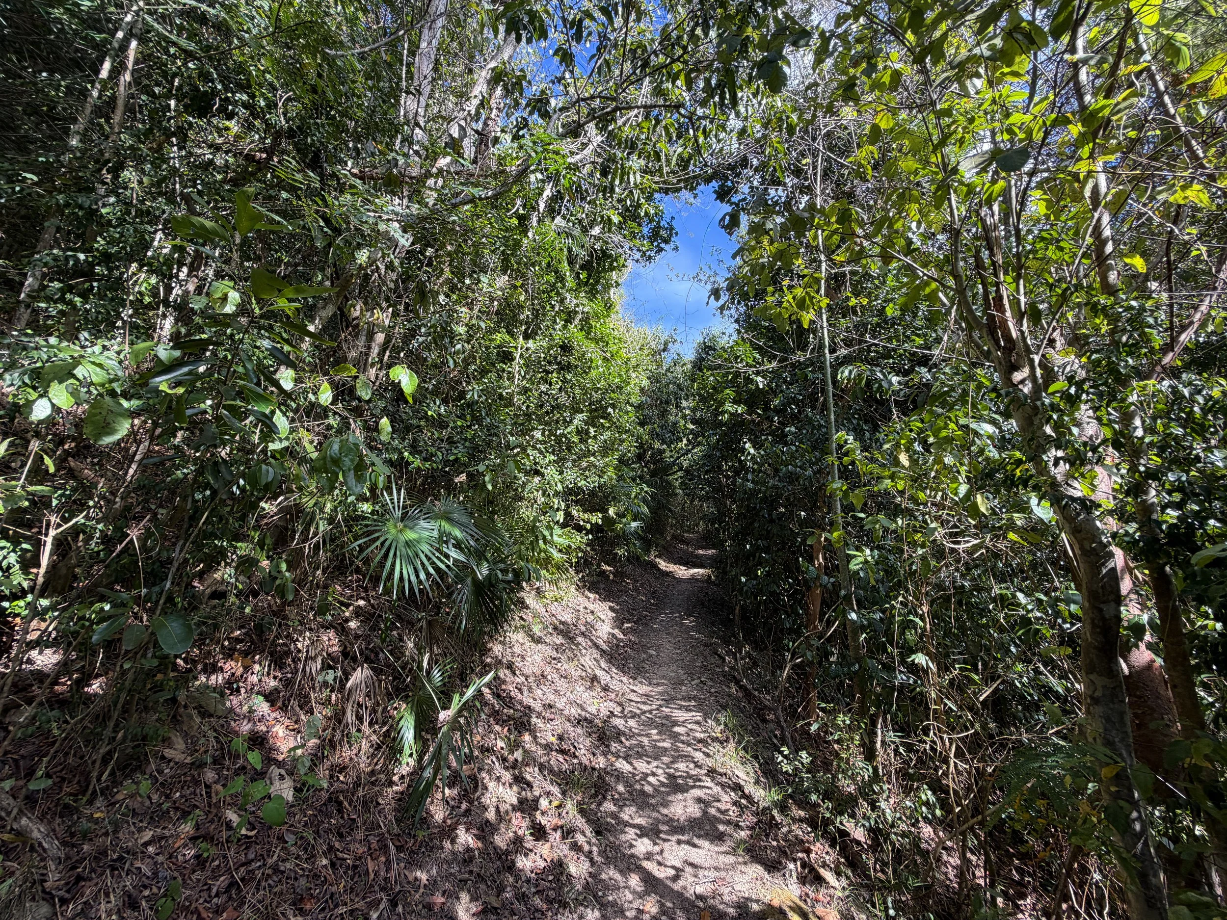 Cinnamon Bay Trail Virgin Islands National Park