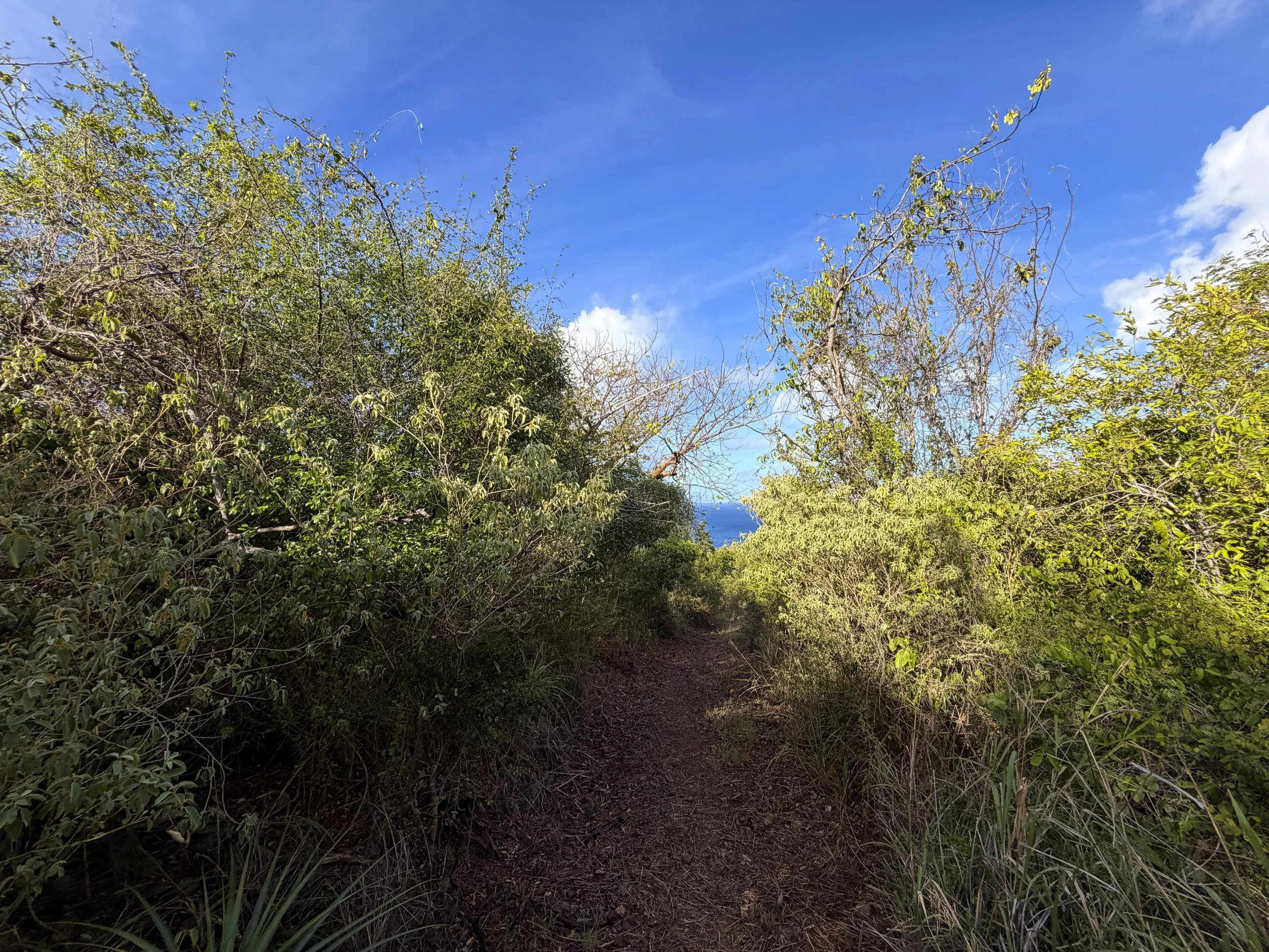 Tektite Trail Virgin Islands National Park
