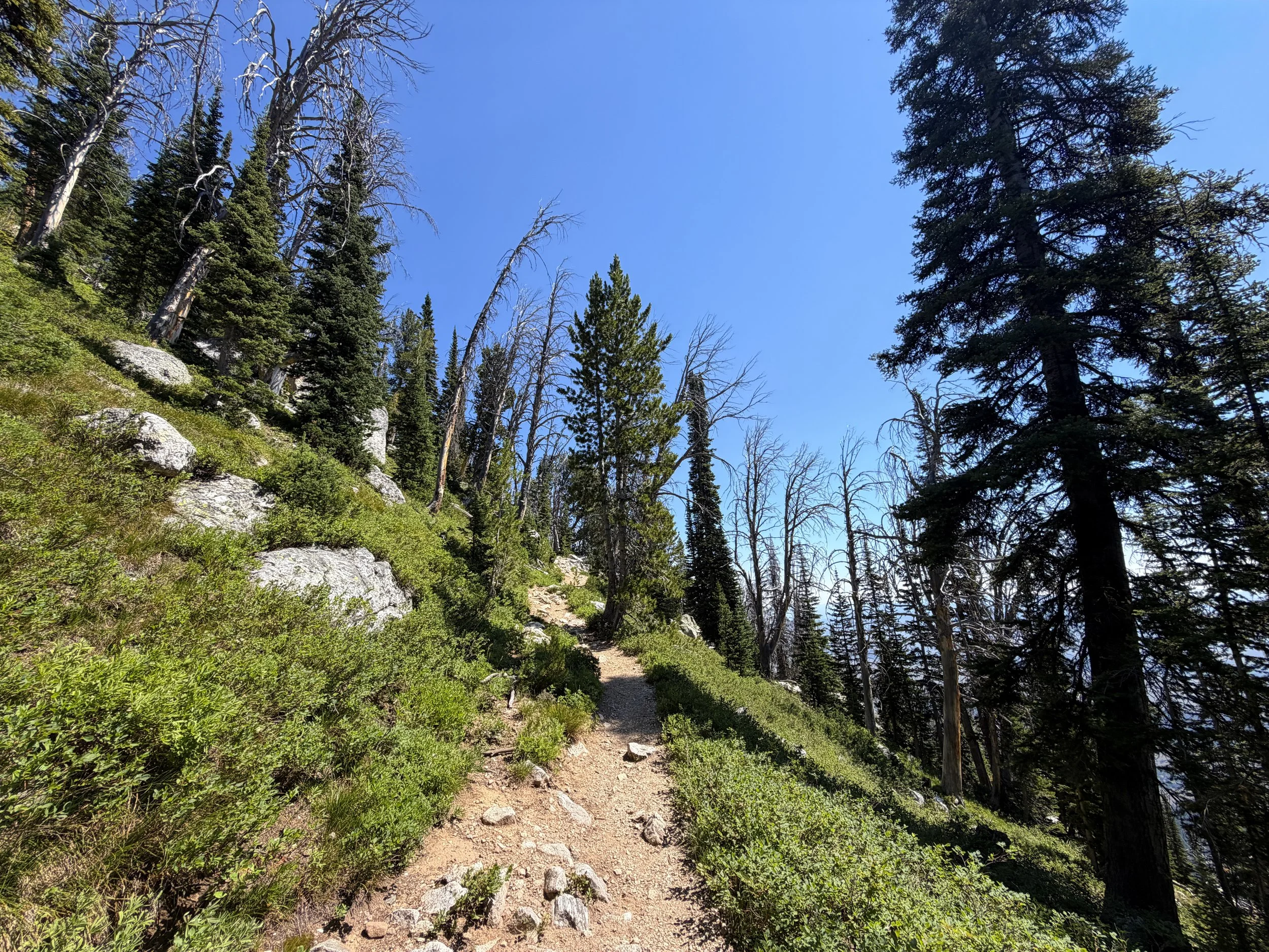 Surprise and Amphitheater Lakes Trail Grand Teton National Park Wyoming