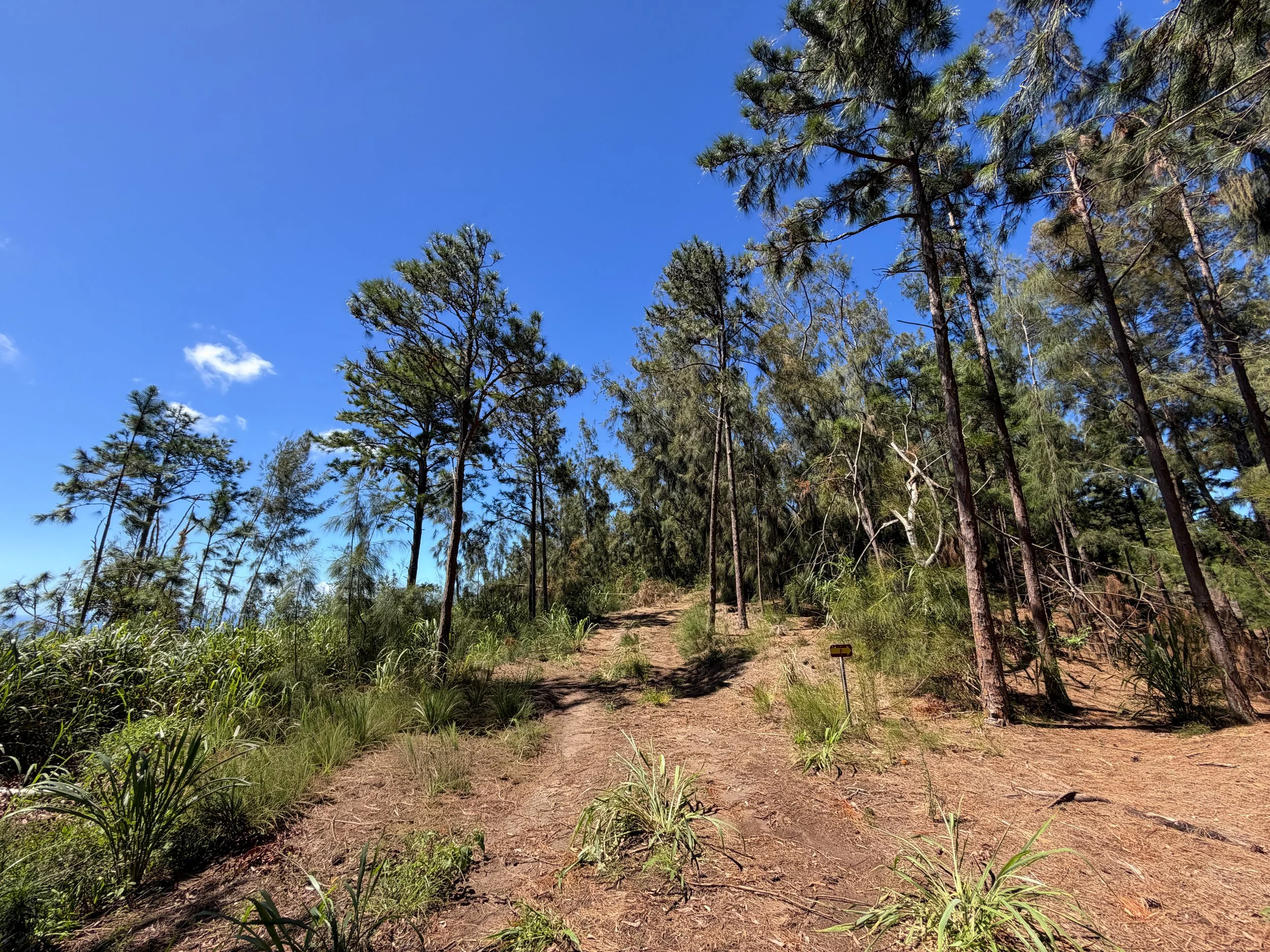 Kuaokala Trail Oahu Hawaii
