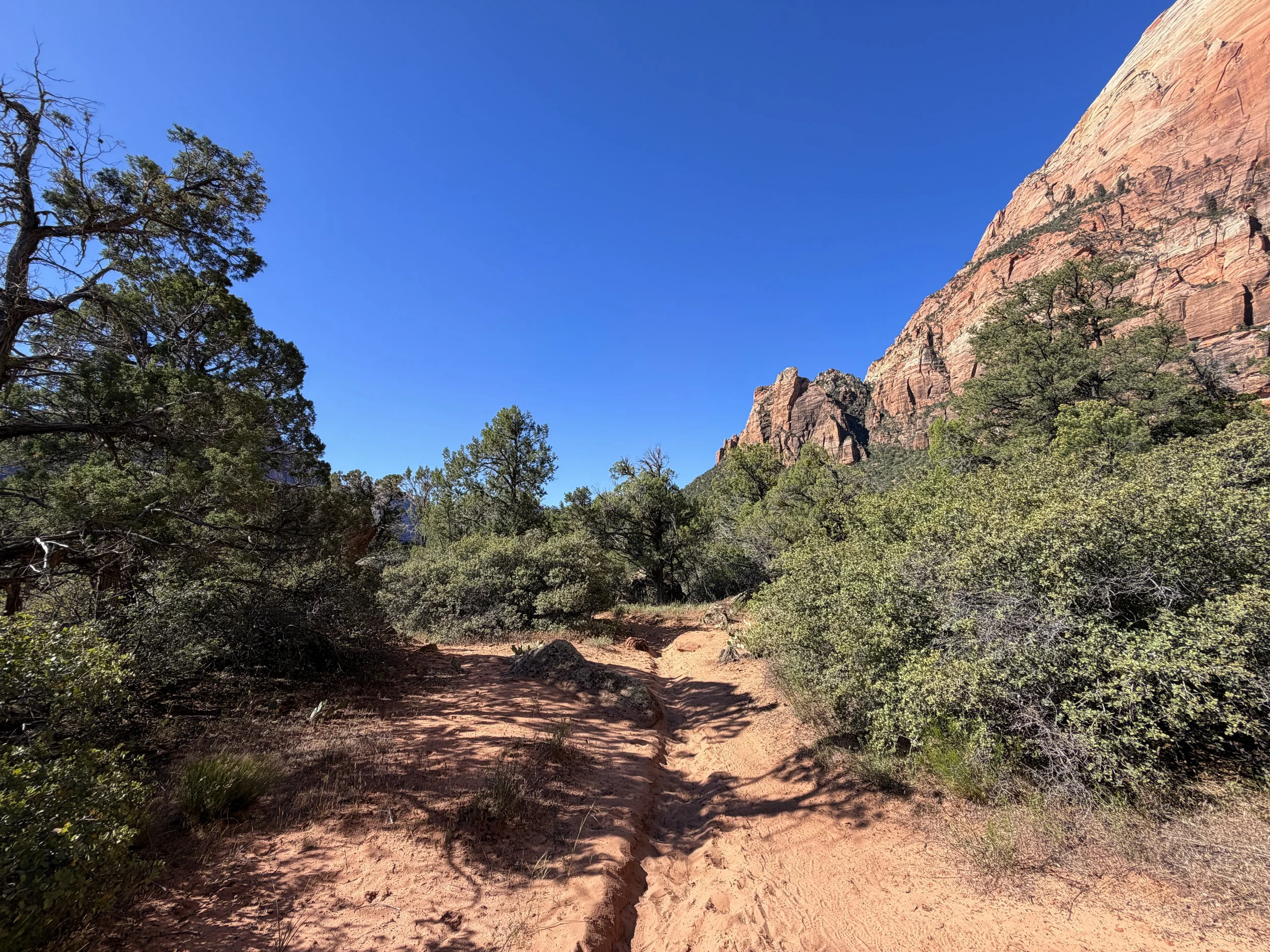 Sand Bench Loop Hike Zion National Park Utah