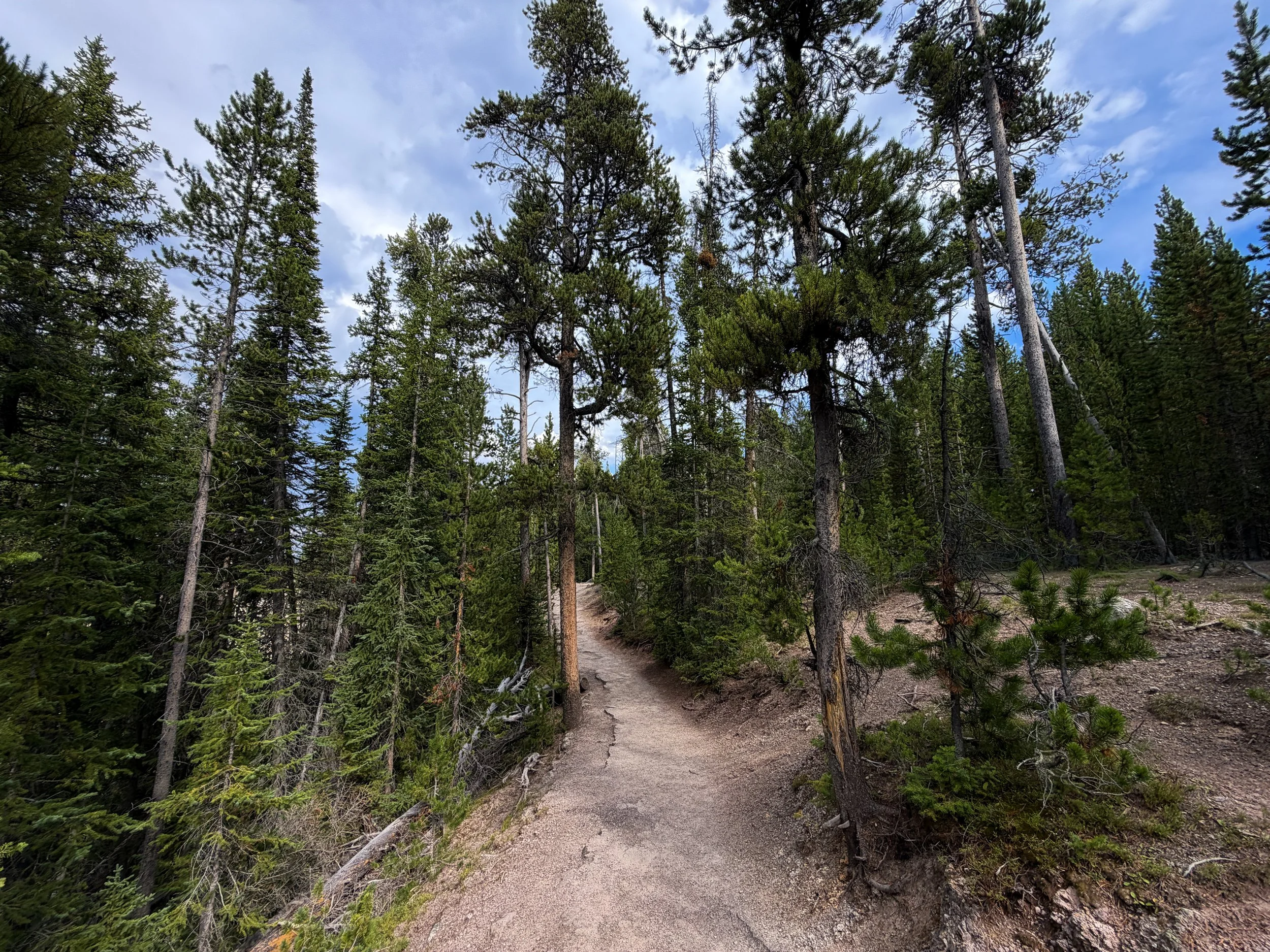 South Rim Trail Yellowstone National Park Wyoming