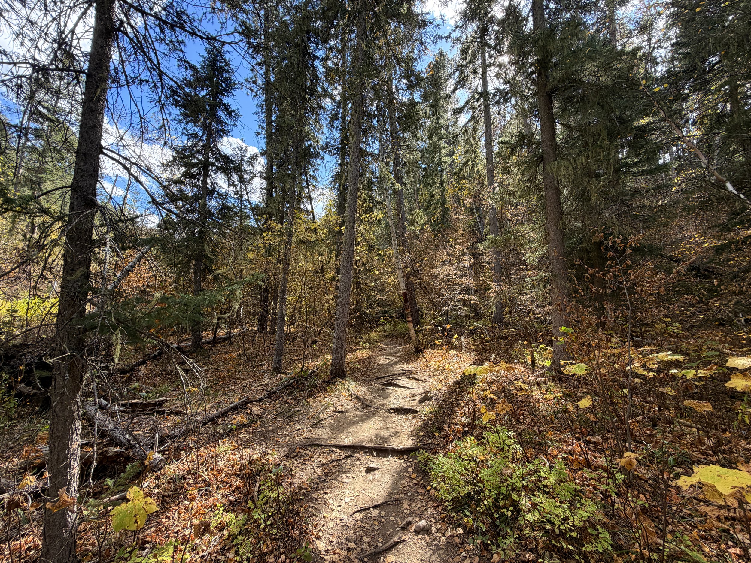 Devils Bathtub Hike Spearfish Canyon Black Hills South Dakota