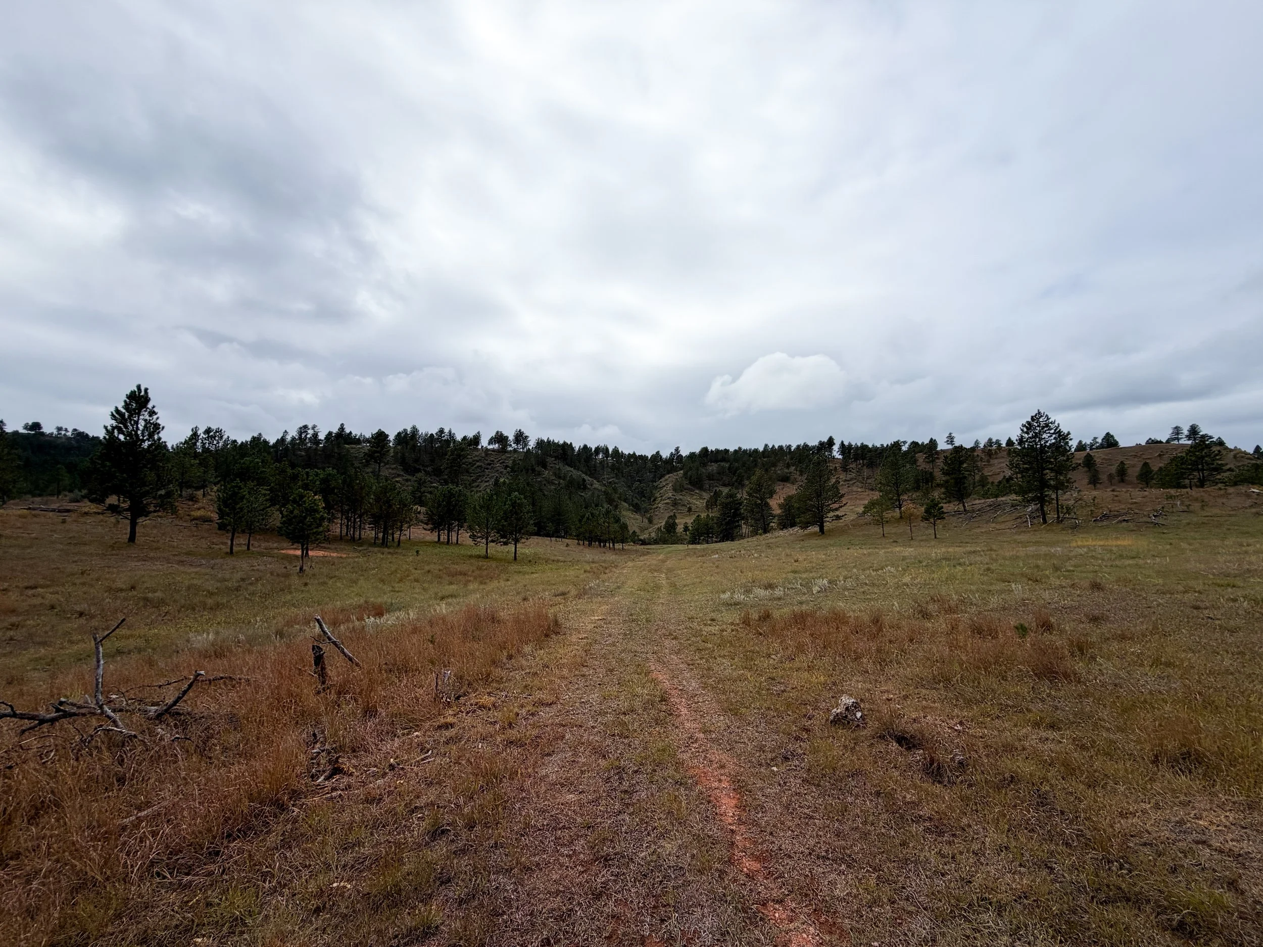 Highland Creek Trail Wind Cave National Park South Dakota