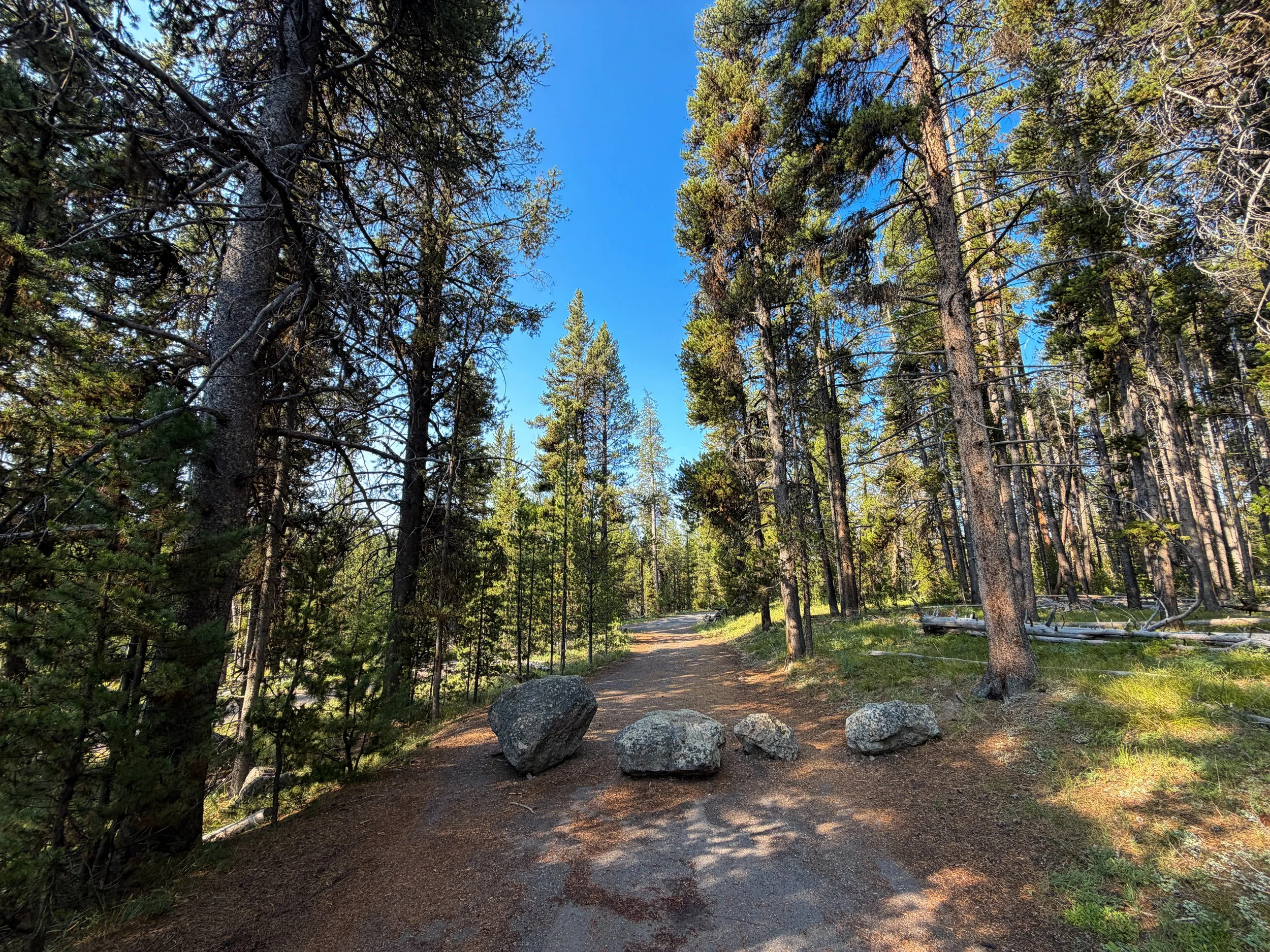 Natural Bridge Hike Yellowstone National Park Wyoming