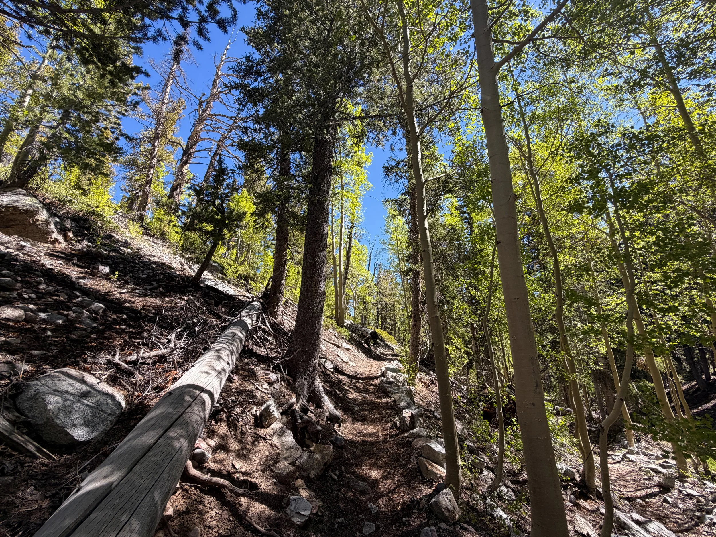 Baker Lake Trail Great Basin National Park Nevada