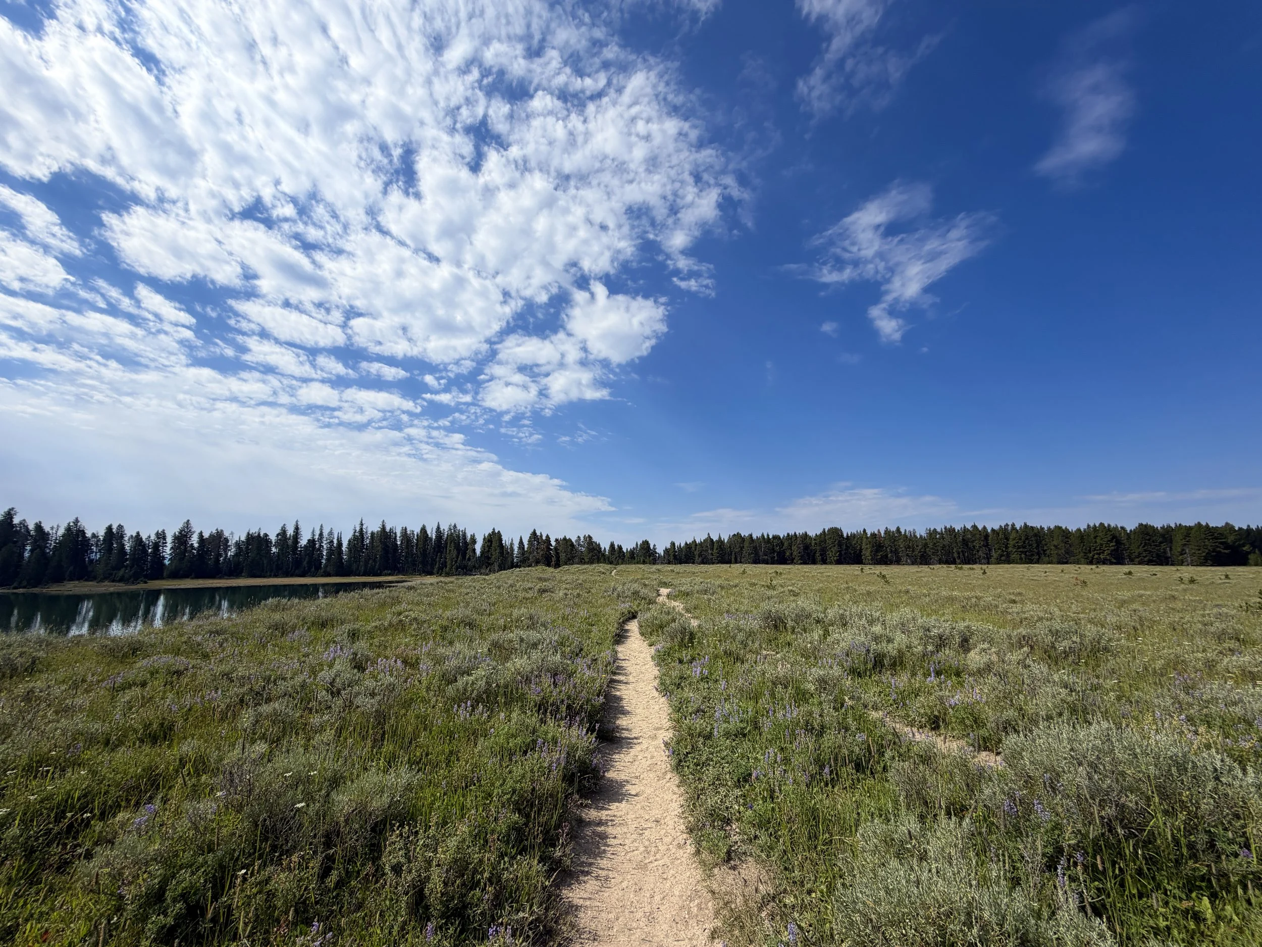 Storm Point Trail Yellowstone National Park Wyoming