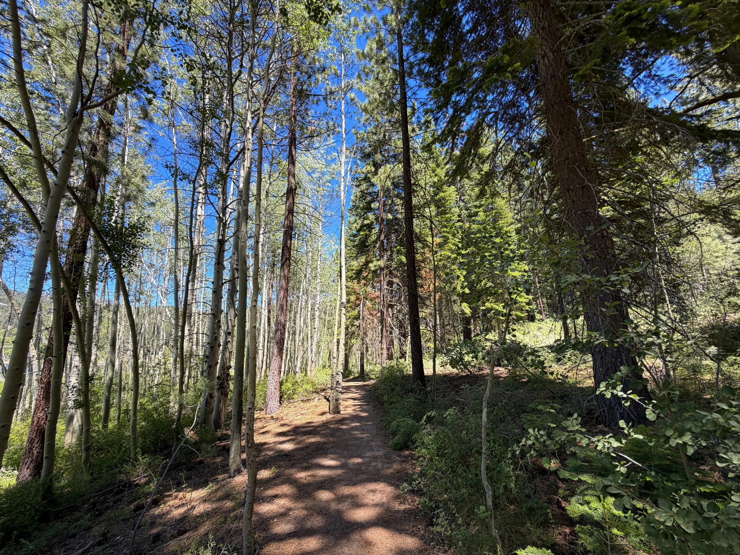 Spooner Lake Trail Lake Tahoe Nevada