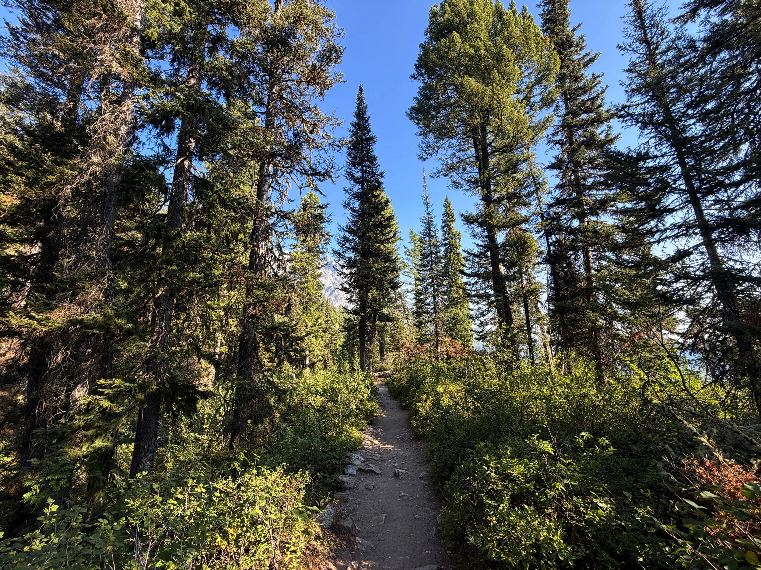 Hidden Falls via Jenny Lake Loop Trail Grand Teton National Park Wyoming