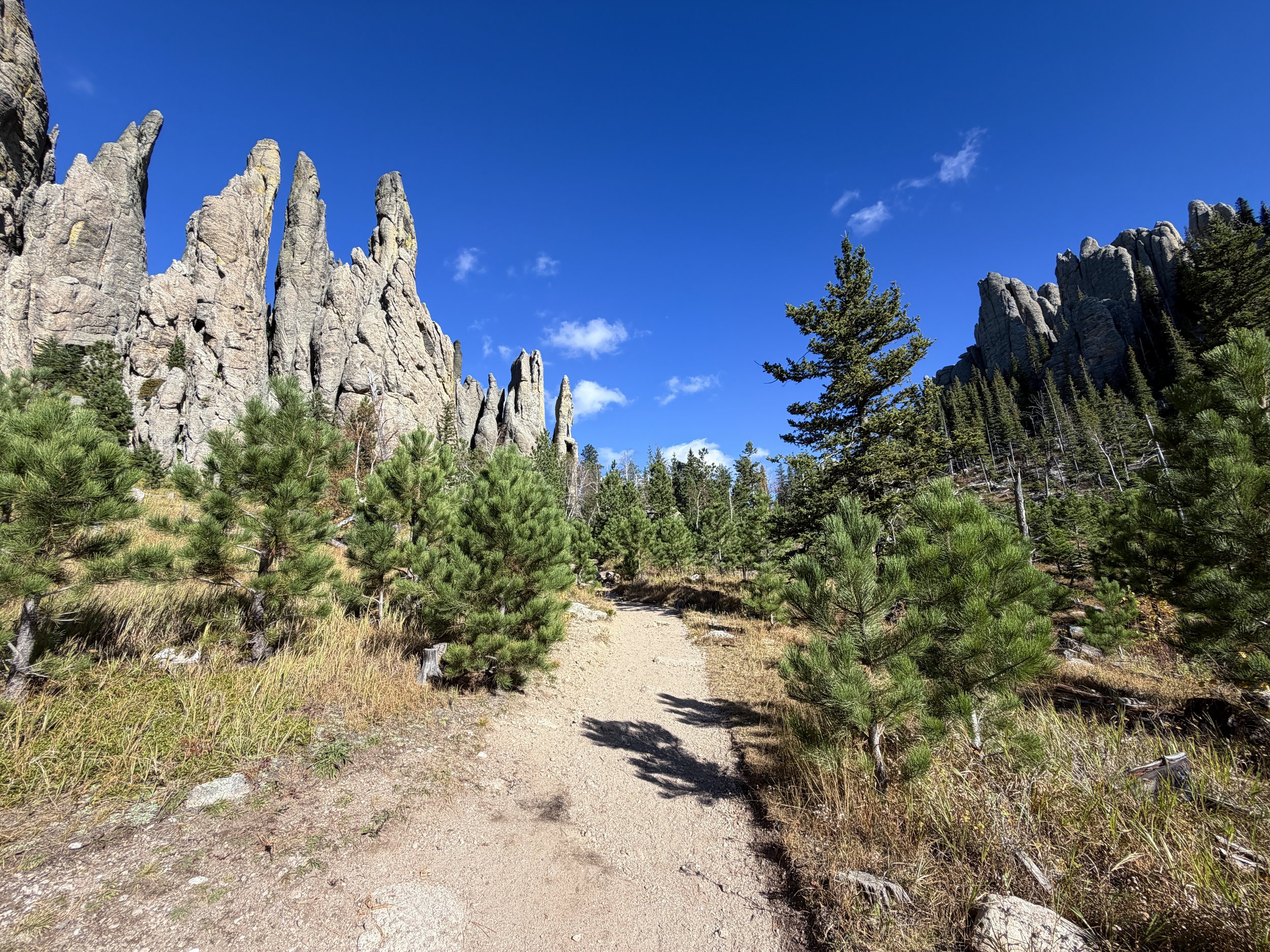 Cathedral Spires Trail Custer State Park Black Hills South Dakota