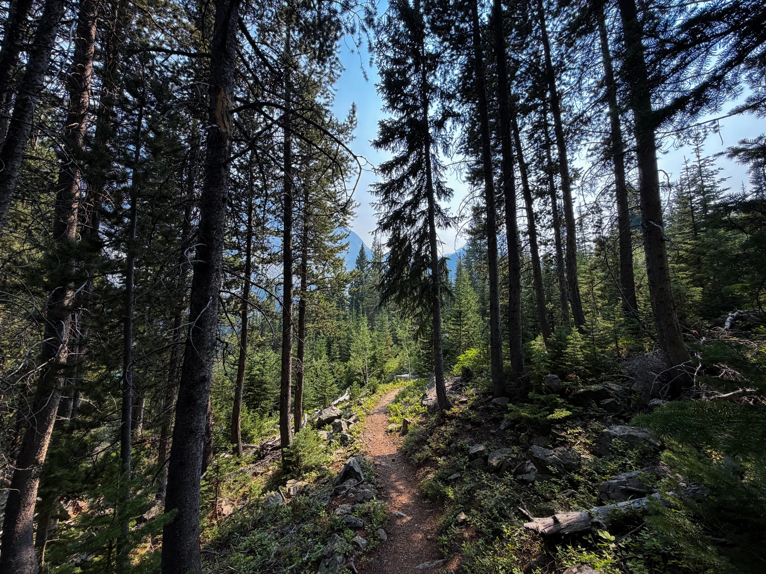 Beaten Path Trail Beartooth Mountains Montana