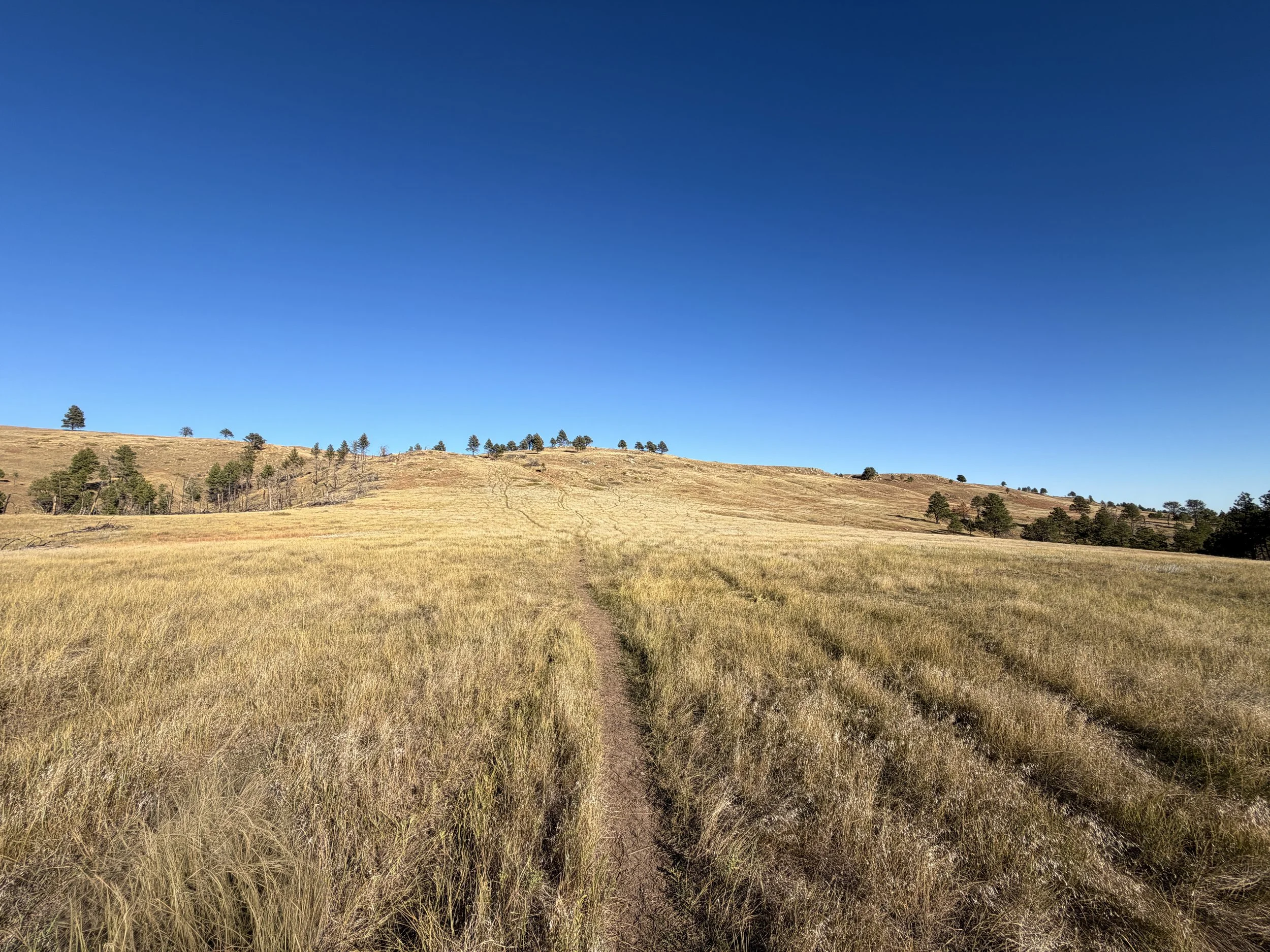 Boland Ridge Hike Wind Cave National Park South Dakota