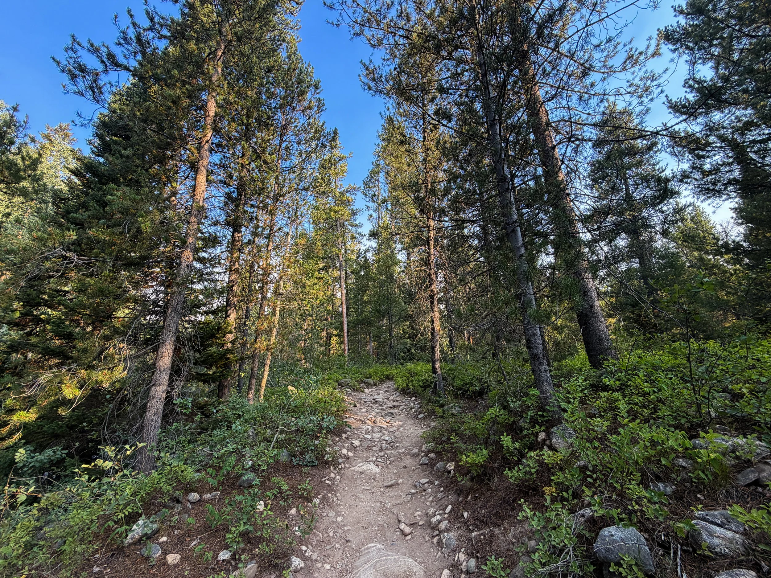 Aspen Ridge Trail Grand Teton National Park Wyoming