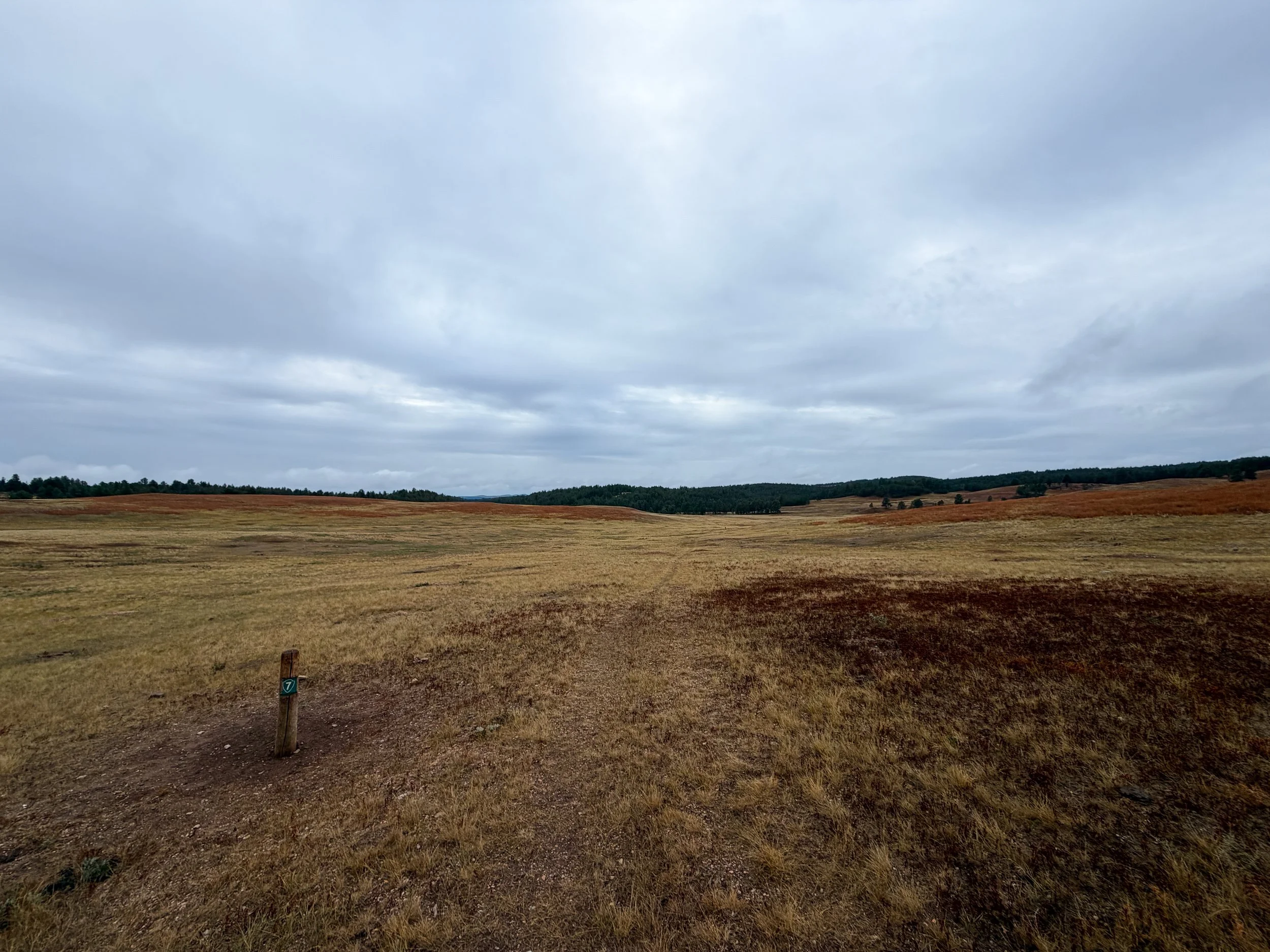 Highland Creek Trail Wind Cave National Park South Dakota