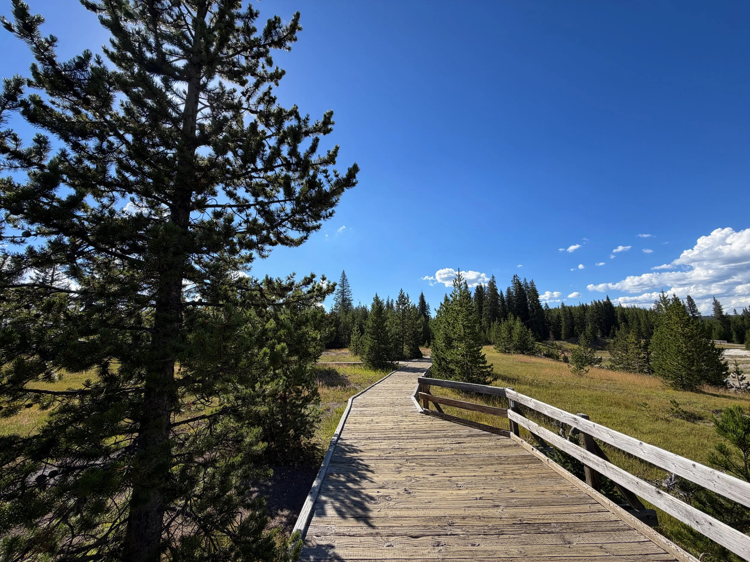 West Thumb Geyser Basin Trail Yellowstone National Park Wyoming