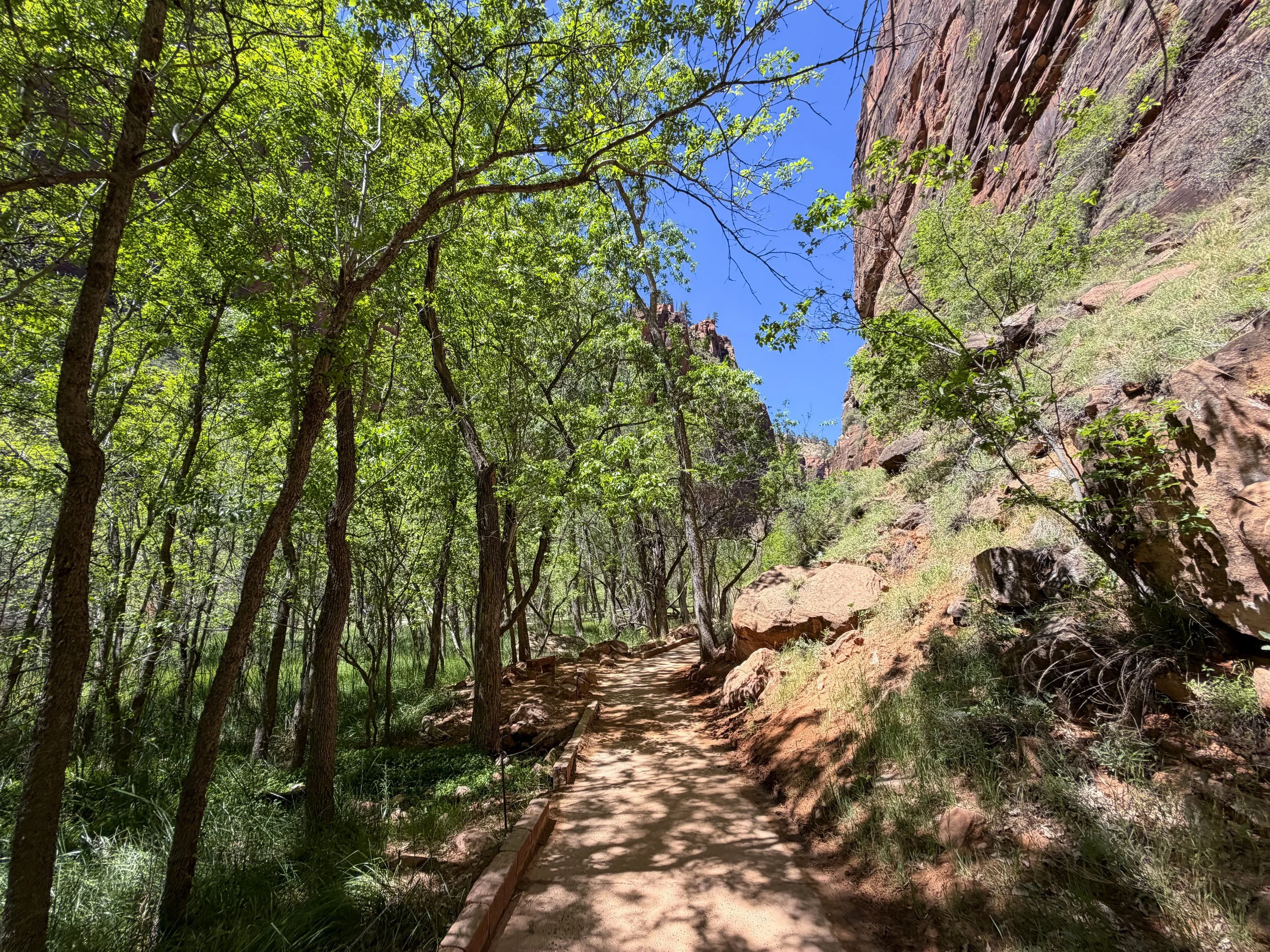 Riverside Walk Trail Zion National Park Utah