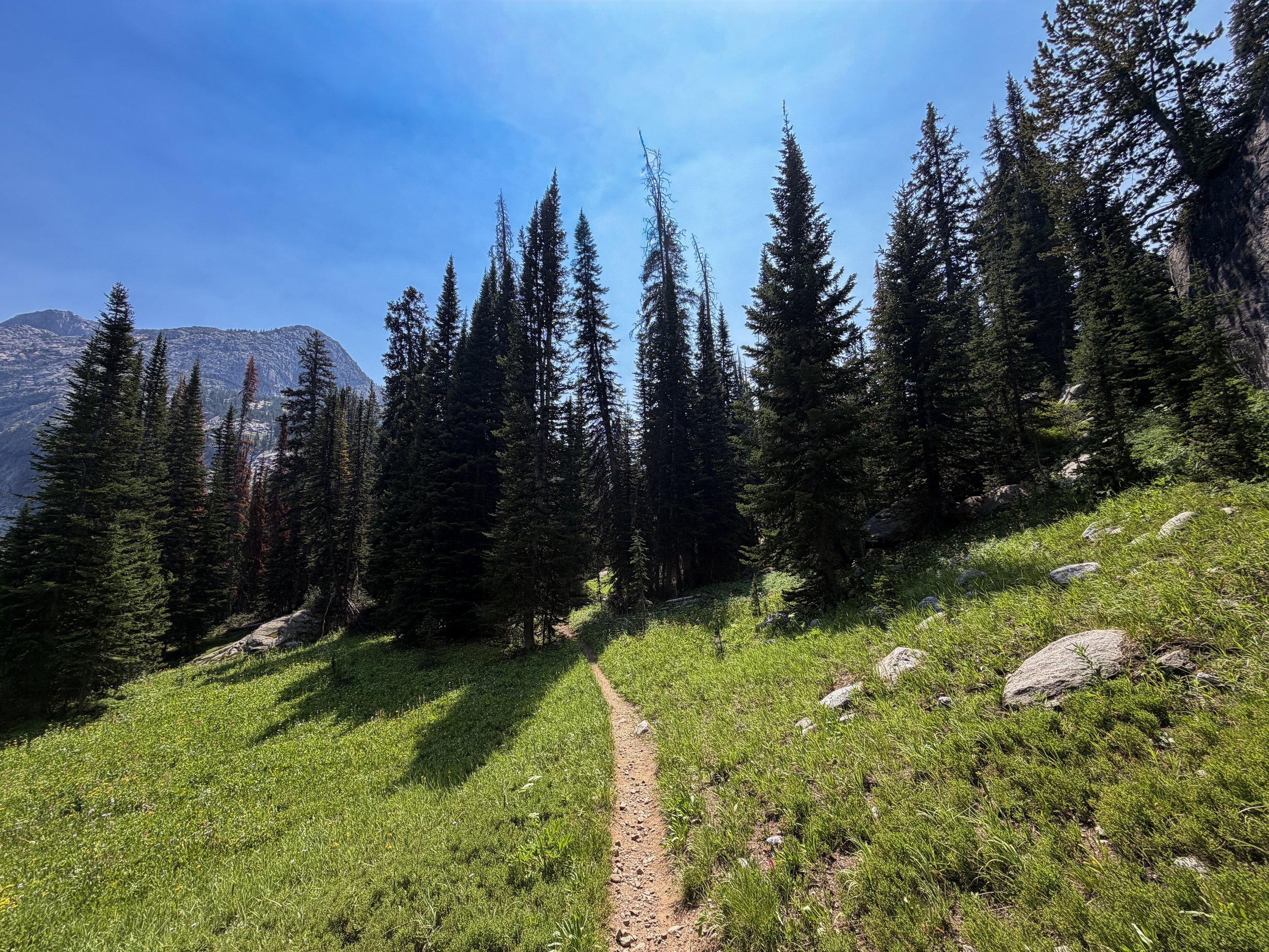 The Beaten Path Trail Beartooth Mountains Montana
