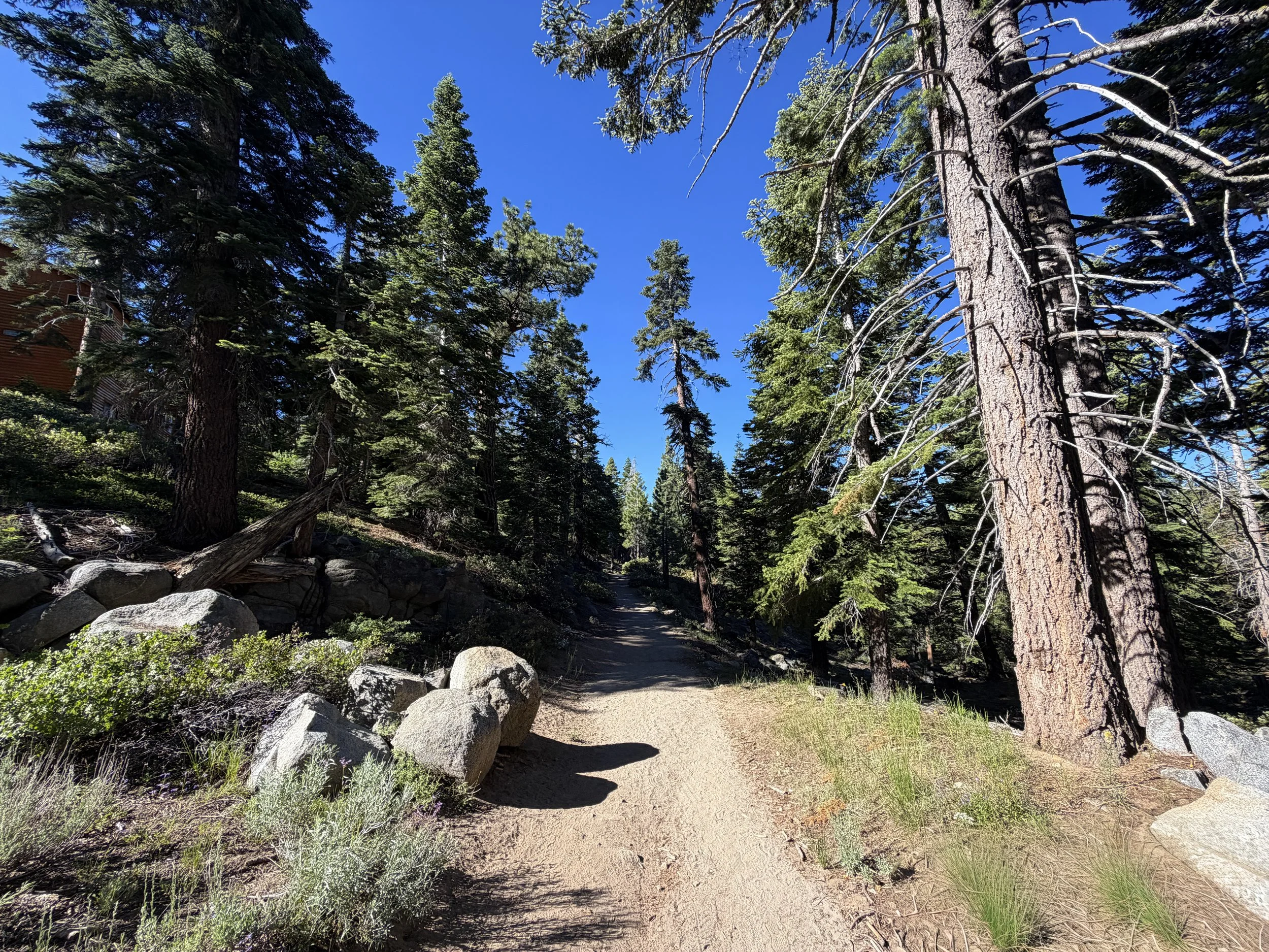 Castle Rock Trail Lake Tahoe Nevada