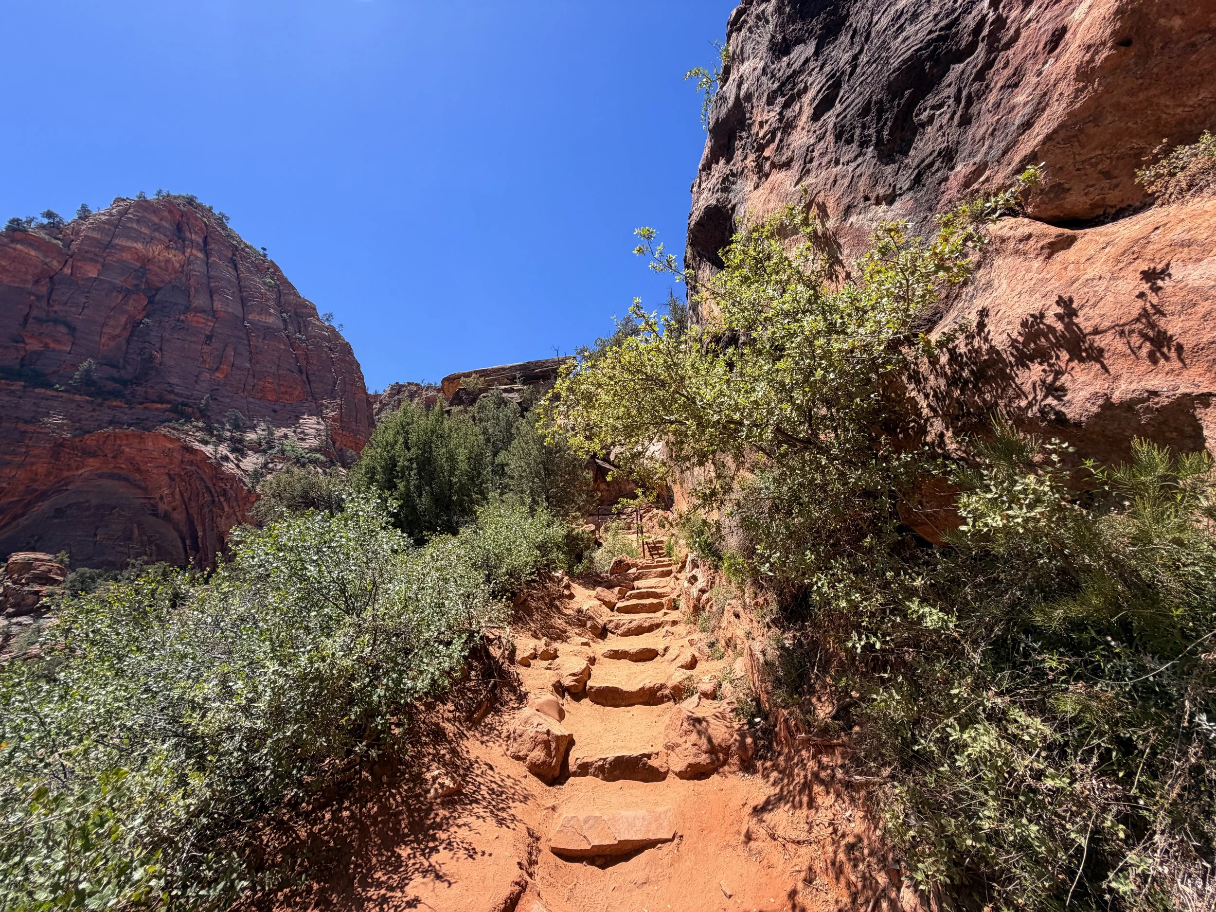Zion Canyon Overlook Trail Zion National Park Utah