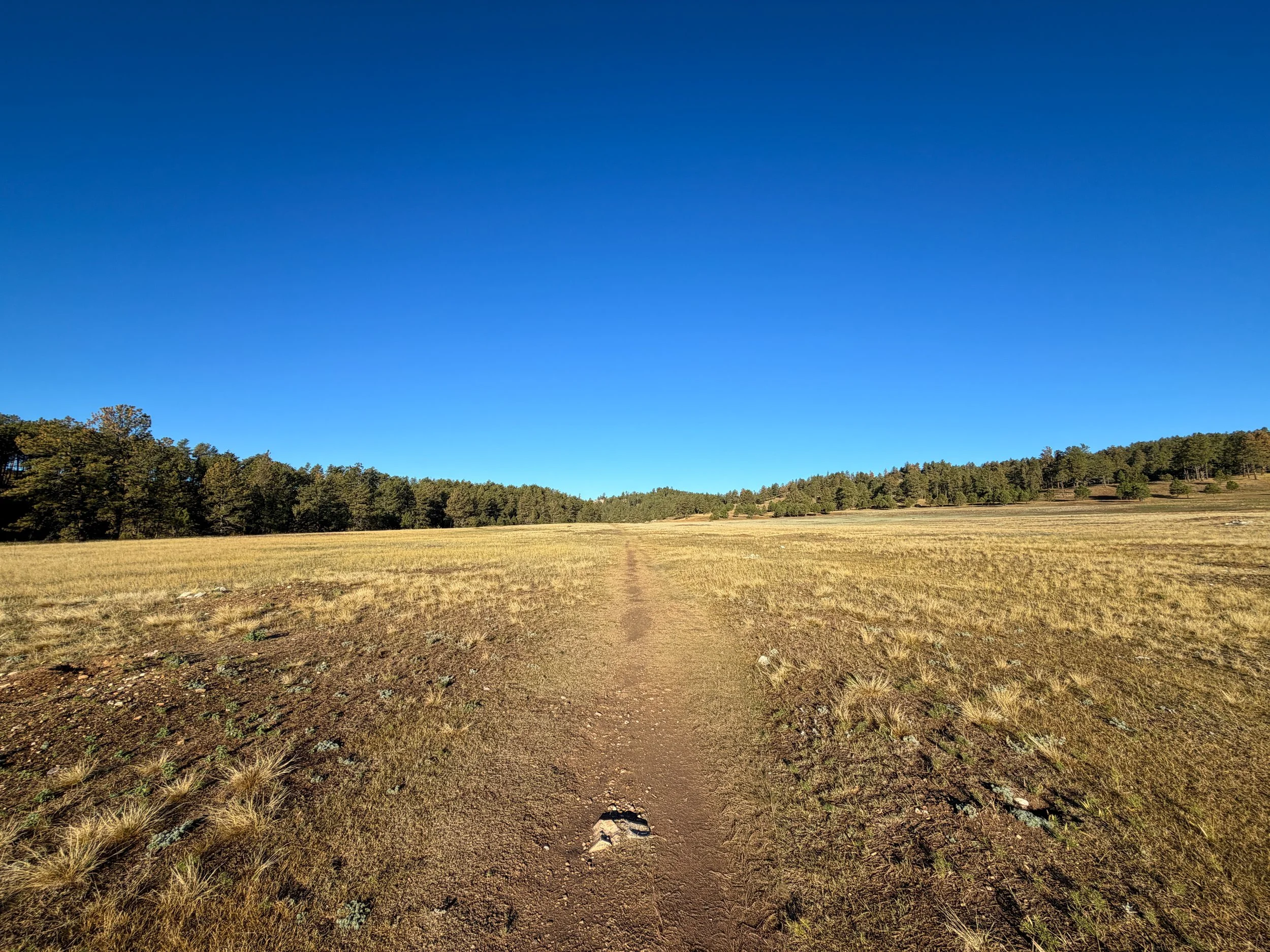 Cold Brook Canyon Hike Wind Cave National Park South Dakota