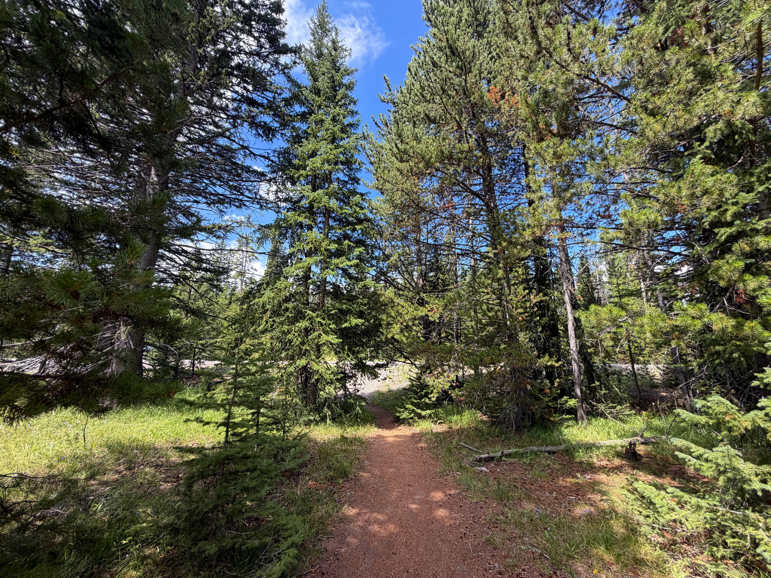 Duck Lake Trail Yellowstone National Park Wyoming