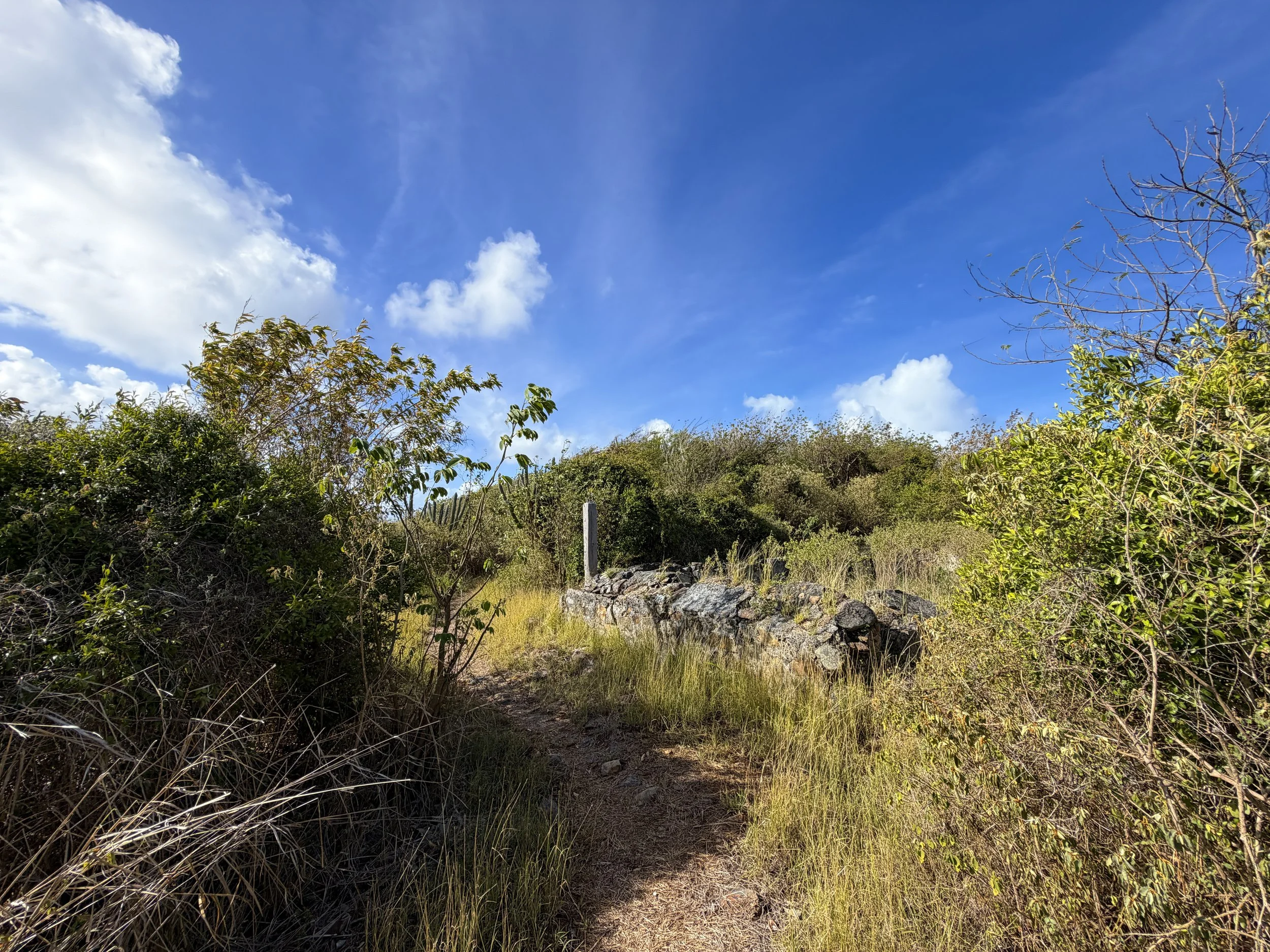 Tektite Trail Ruins Virgin Islands National Park