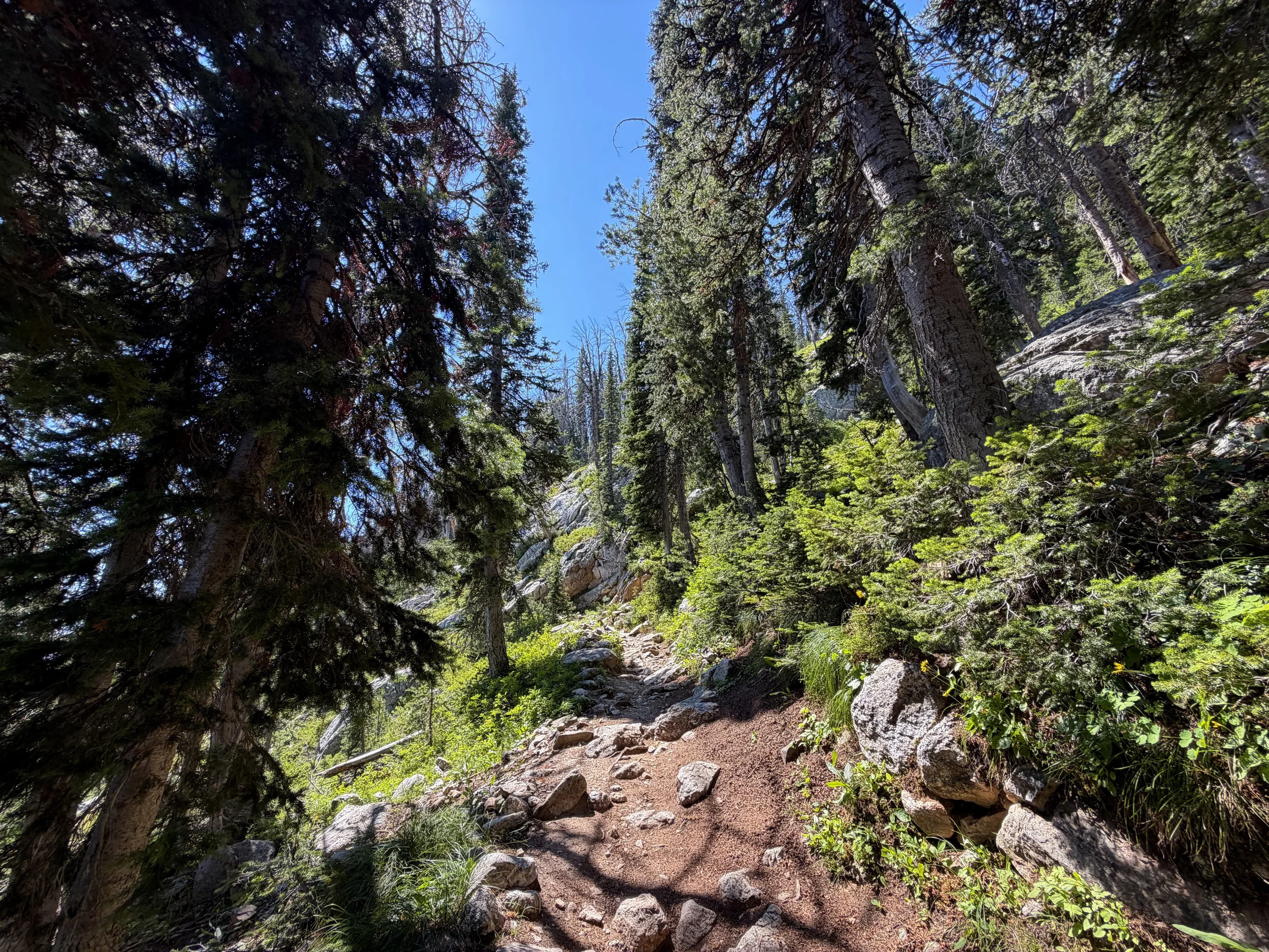 Surprise and Amphitheater Lakes Trail Grand Teton National Park Wyoming