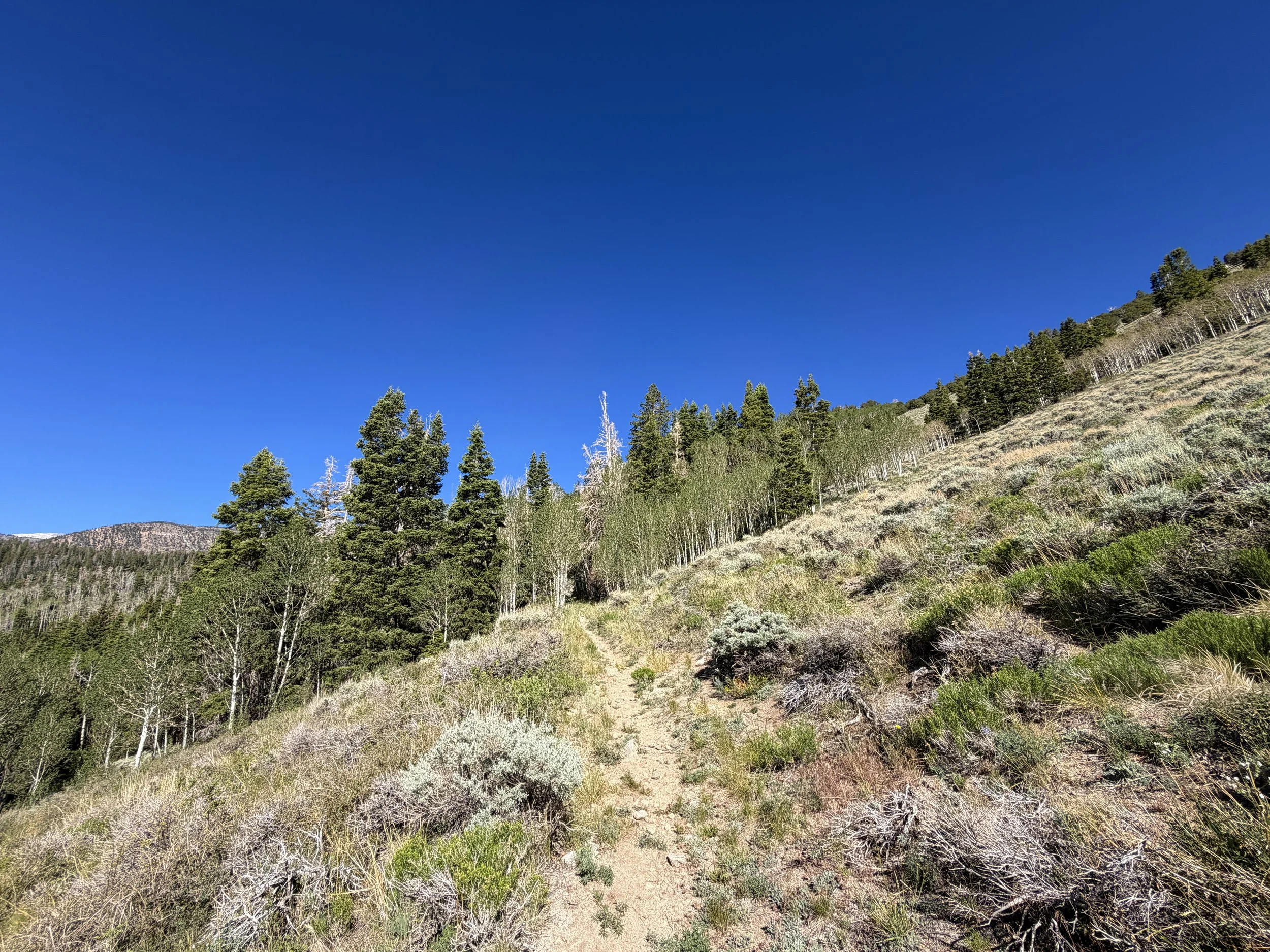Johnson Lake Hike Great Basin National Park Nevada
