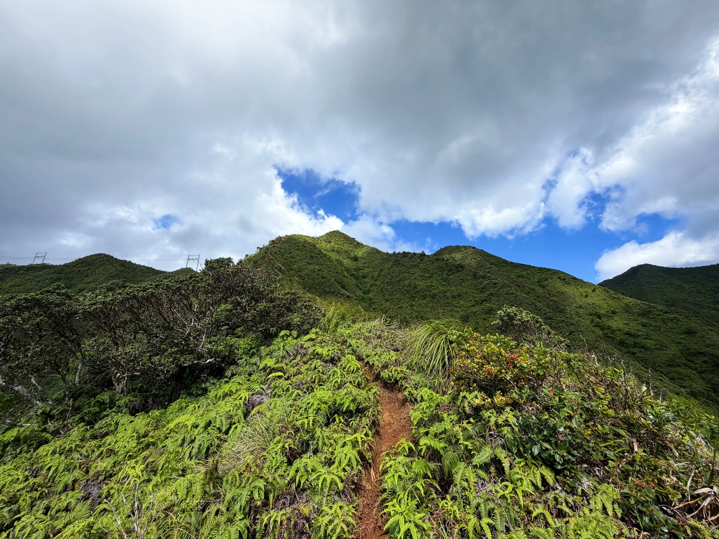 Kaau Crater Trail Oahu Hawaii