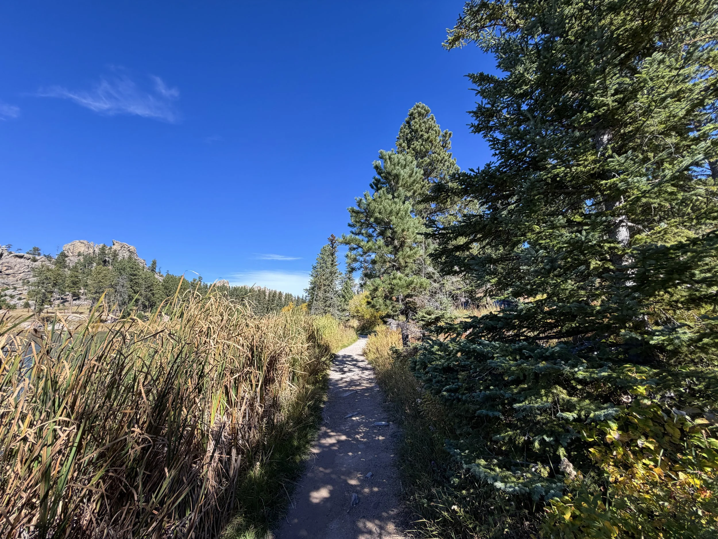 Sylvan Lake to Sunday Gulch Trail Custer State Park Black Hills South Dakota