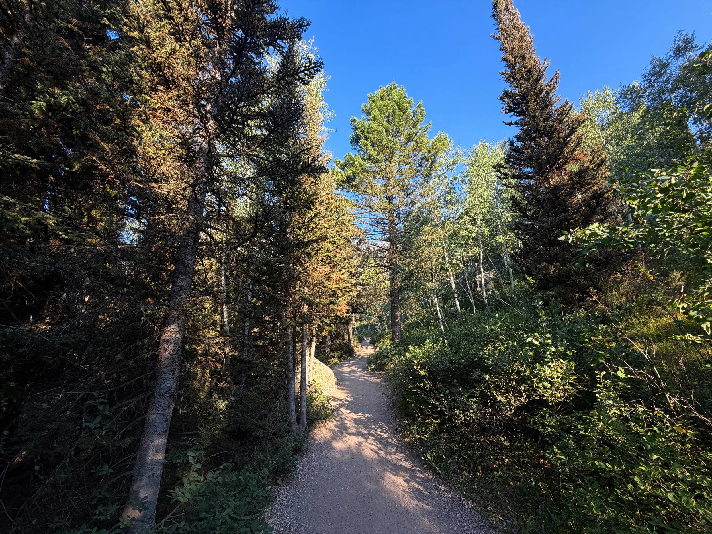 Hidden Falls via Jenny Lake Trail Grand Teton National Park Wyoming