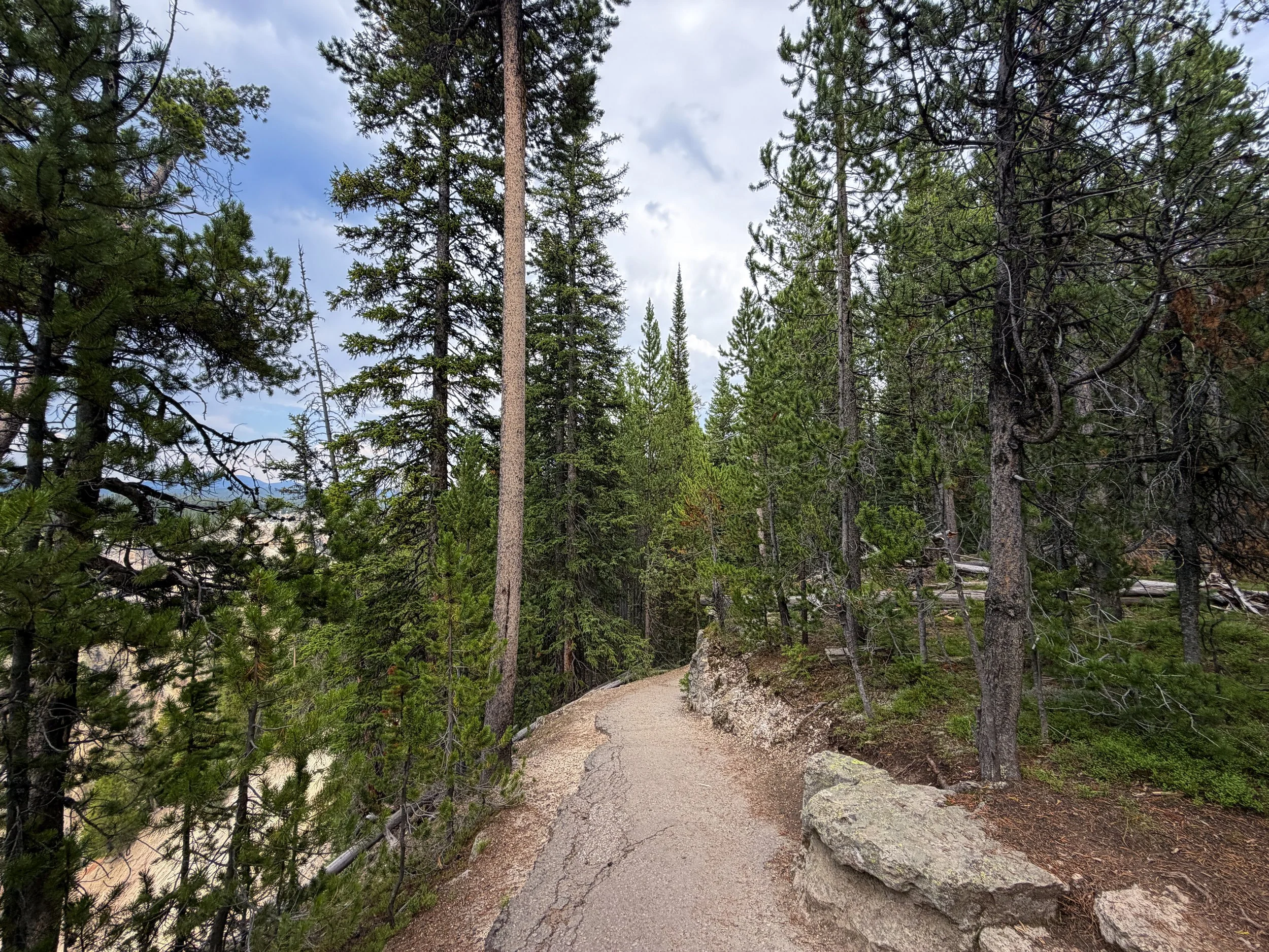 South Rim Trail Yellowstone National Park Wyoming