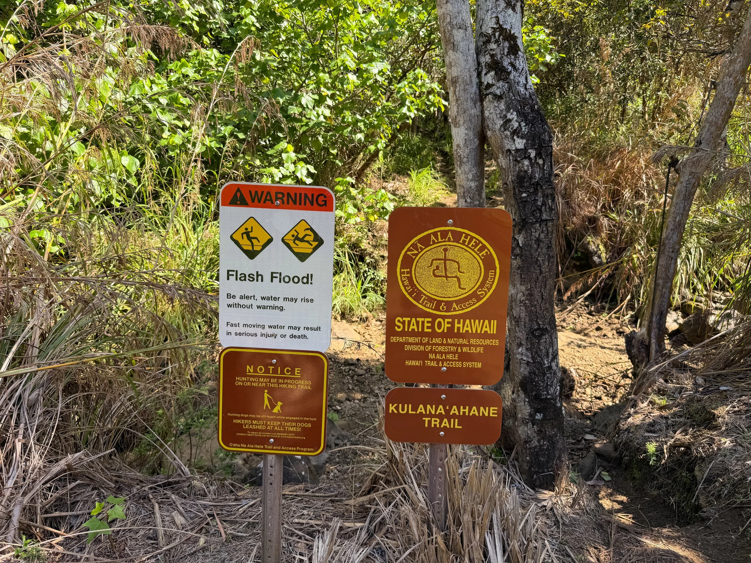 Kulanaahane Trailhead Oahu Hawaii