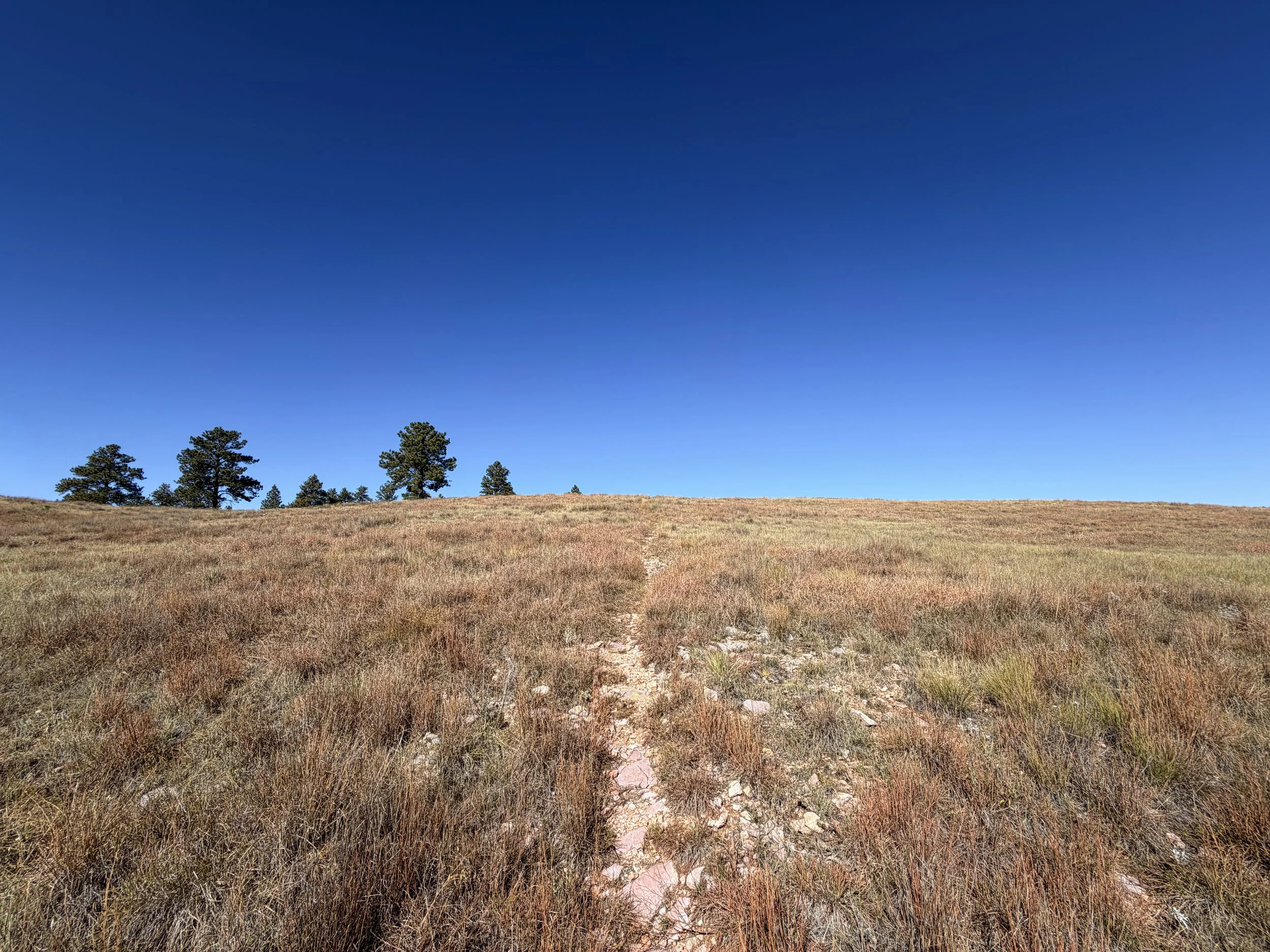 East Bison Flats Hike Wind Cave National Park South Dakota
