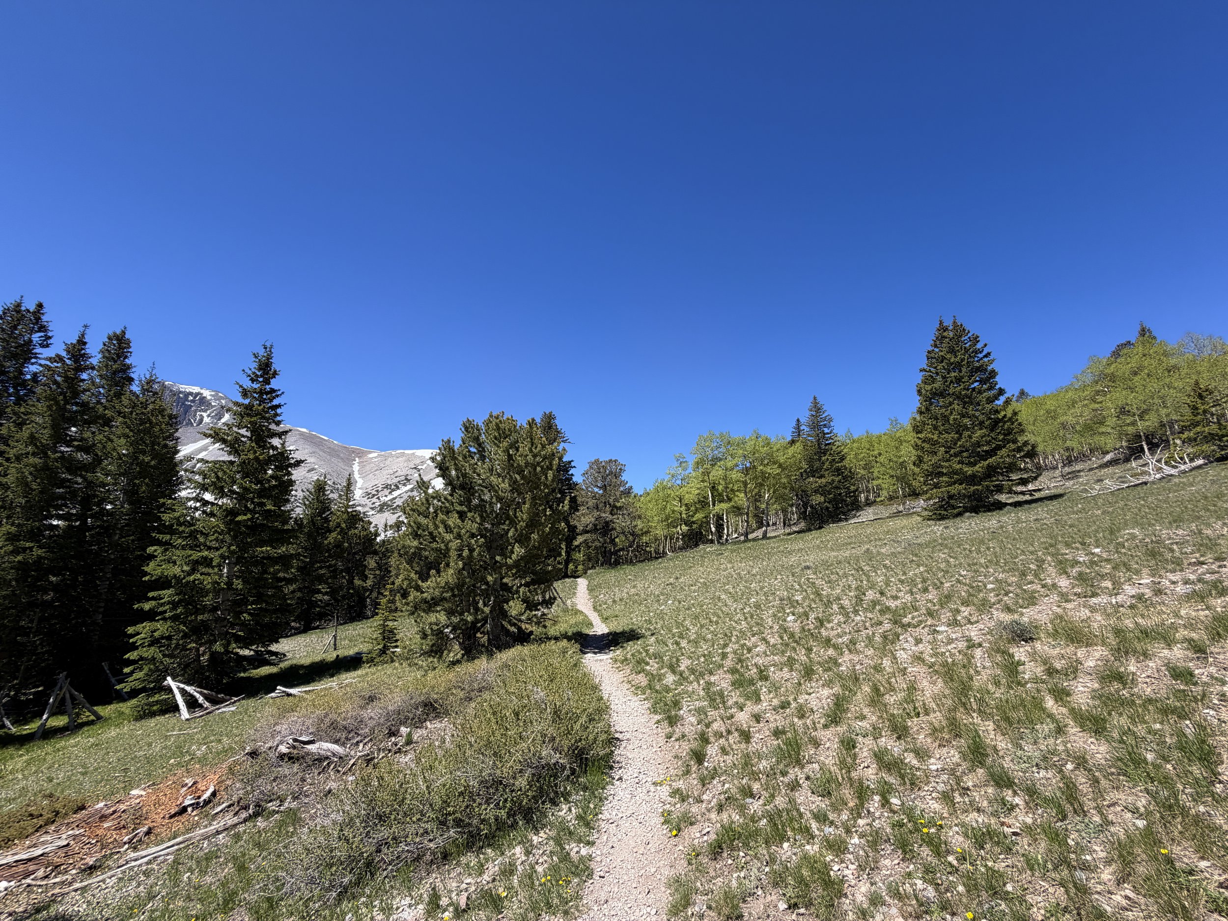 Wheeler Peak Summit Hike Great Basin National Park Nevada