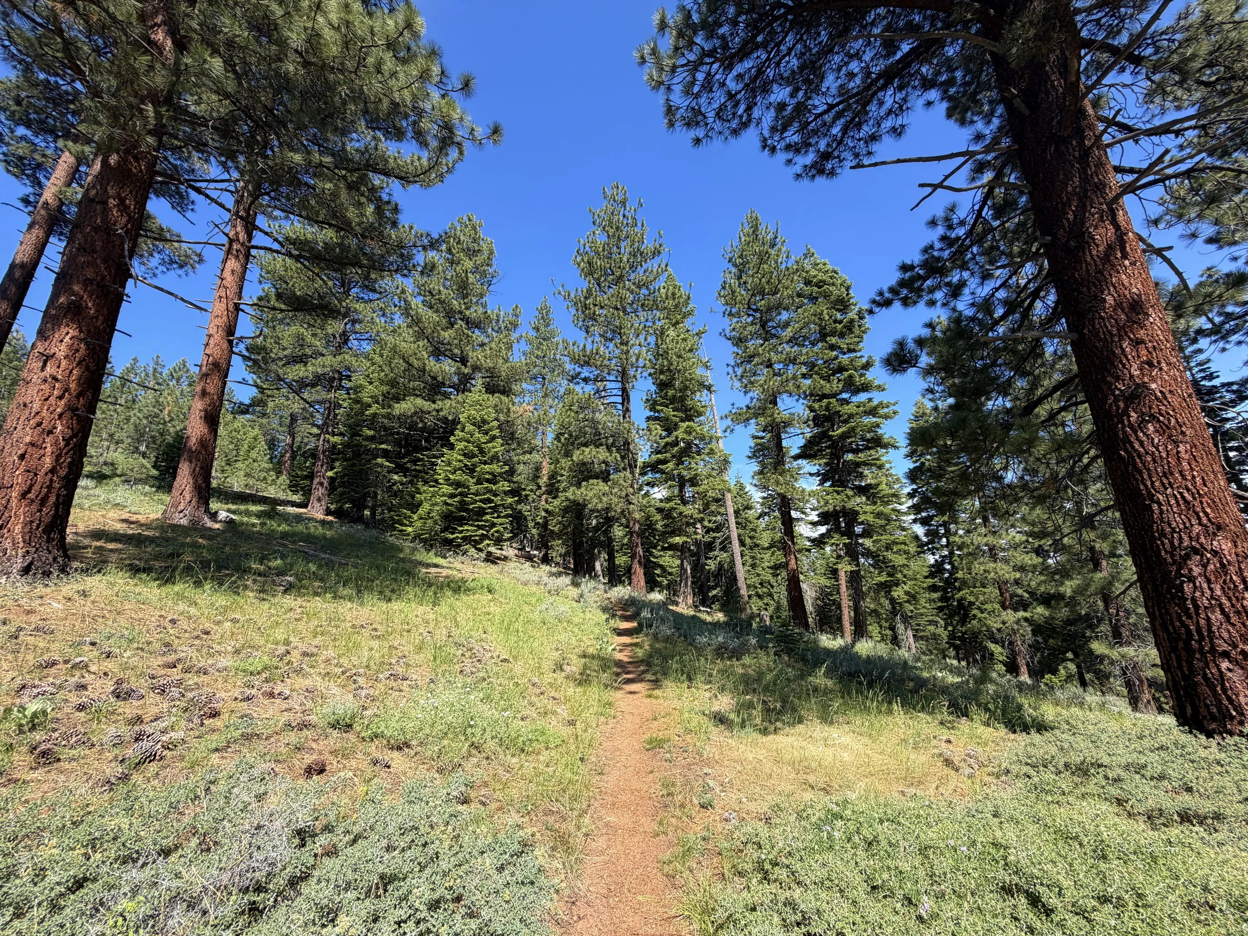 Captain Pomin Rock Trail Lake Tahoe Nevada