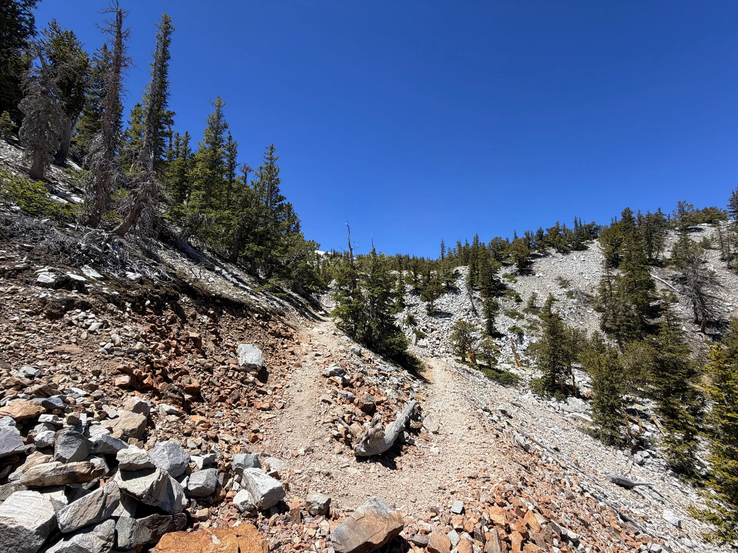 Bristlecone Pine Hike Great Basin National Park Nevada